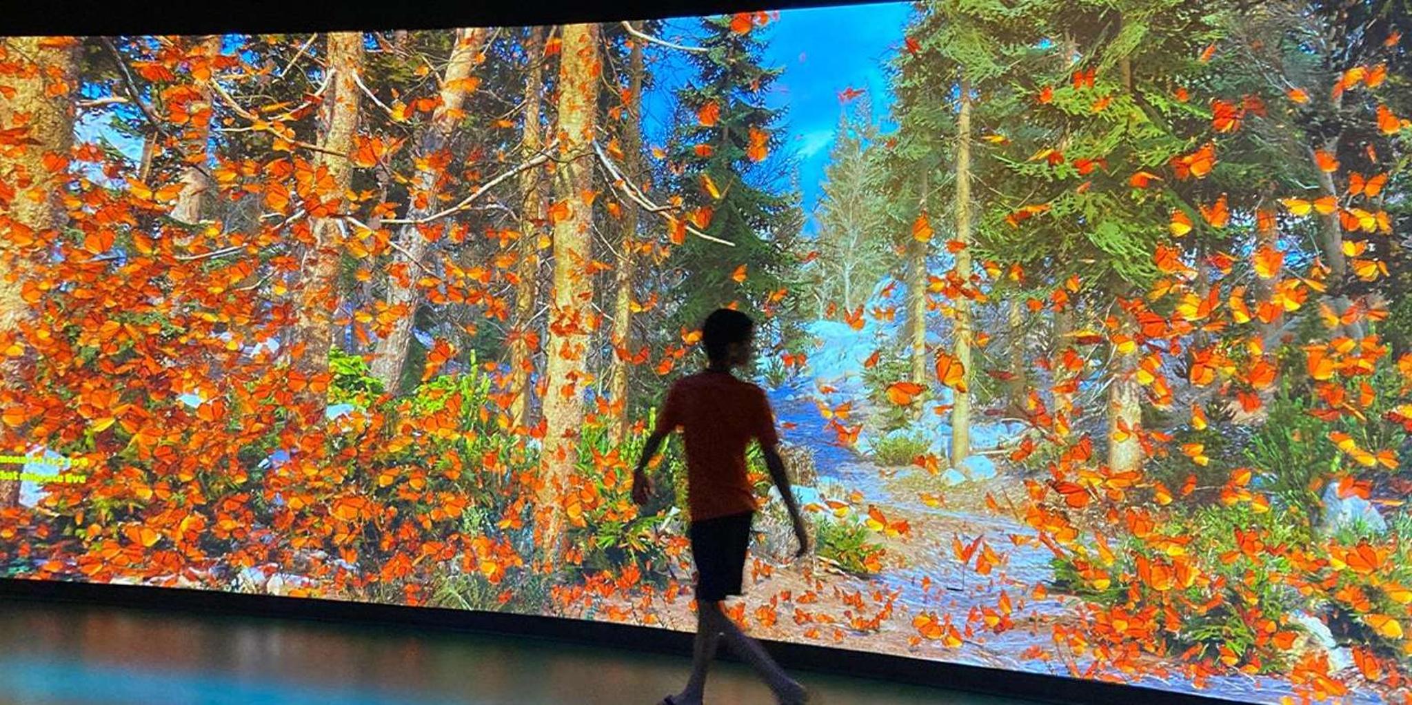 New Orleans Audubon Aquarium and Insectarium Ticket - Image 2