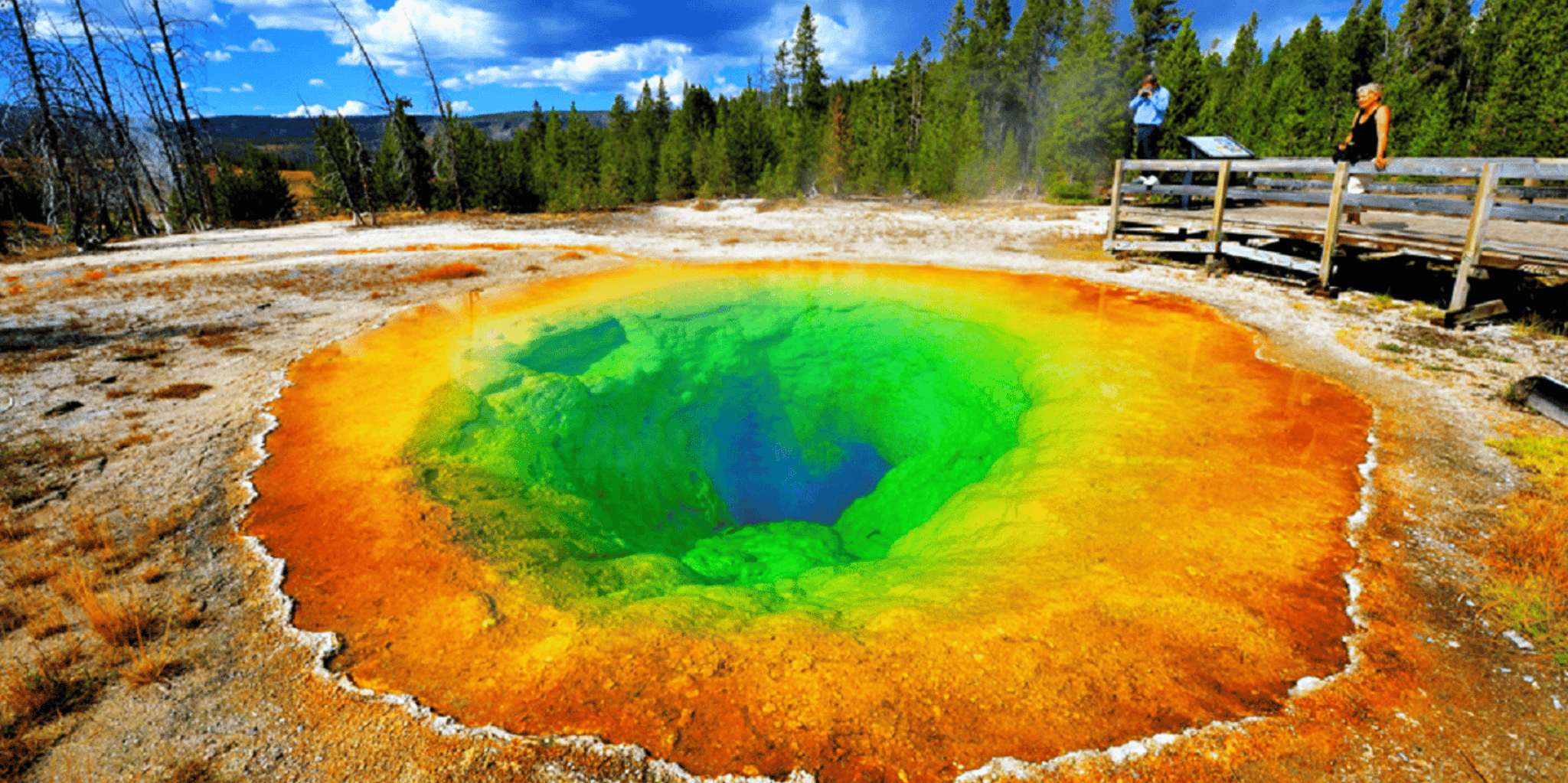 Yellowstone & Grand Teton 4-Day Tour - Image 2