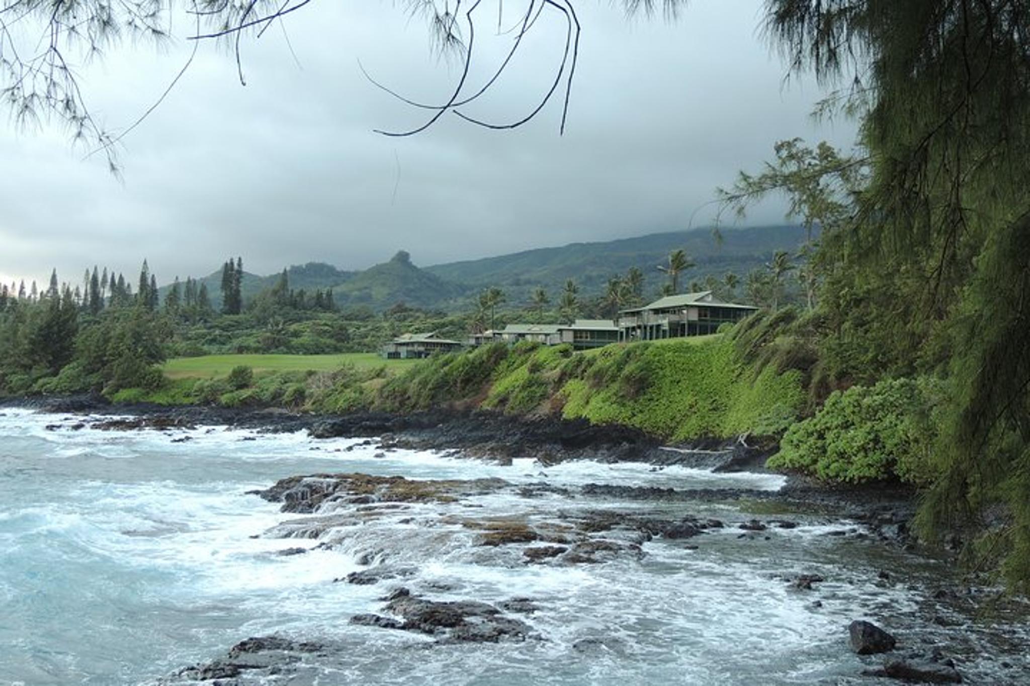 Maui Road to Hana Private Tour in Spanish - Image 5
