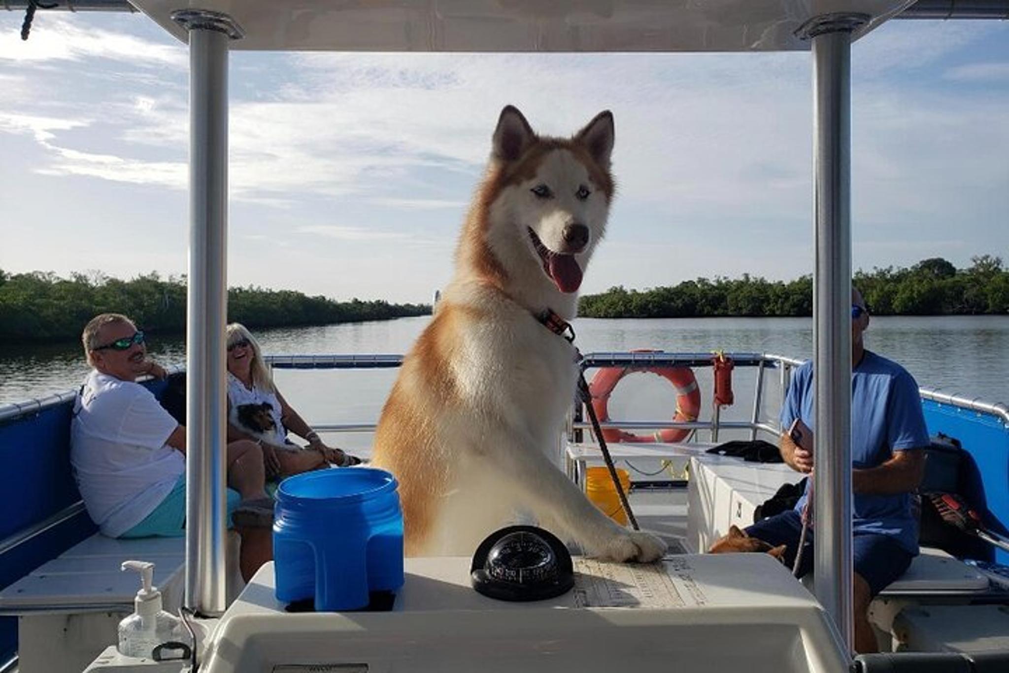 Naples Dog-Friendly Boat Tour to Keewaydin Island - Image 4