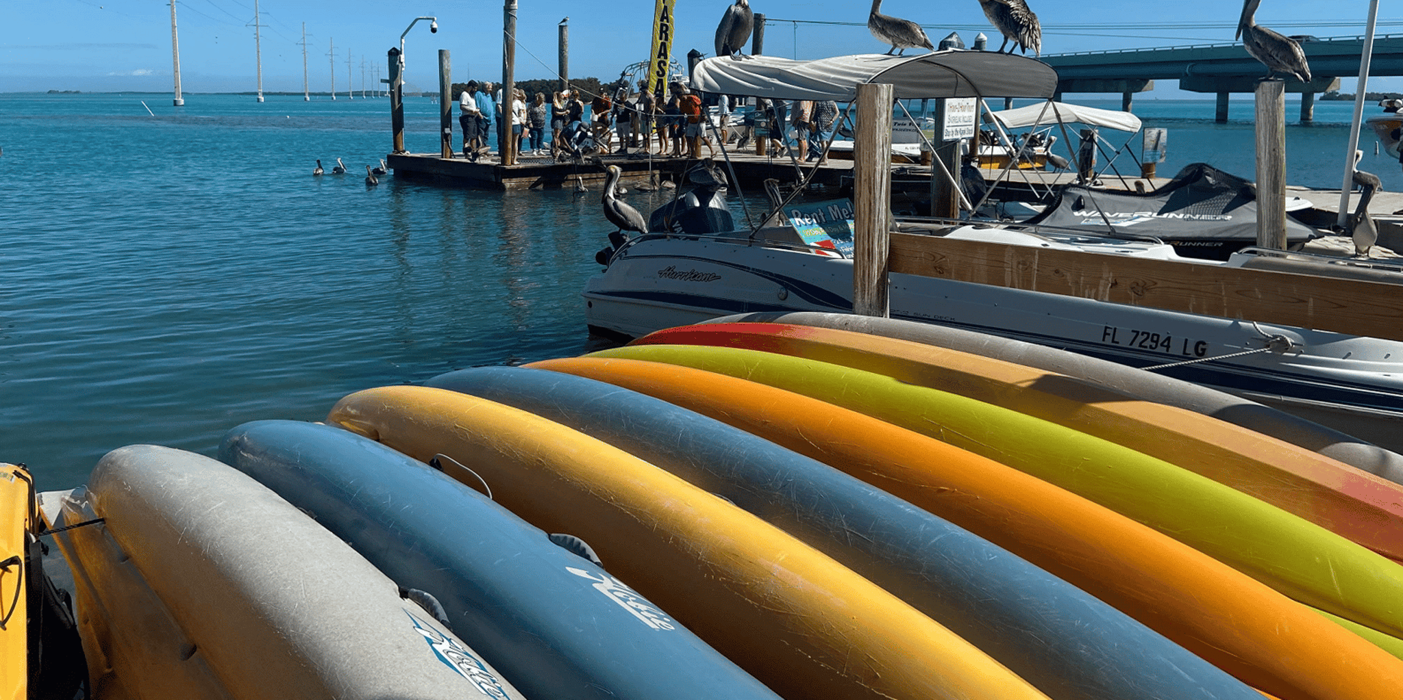 Miami Key Largo & Islamorada Open-Top Bus Tour - Image 4