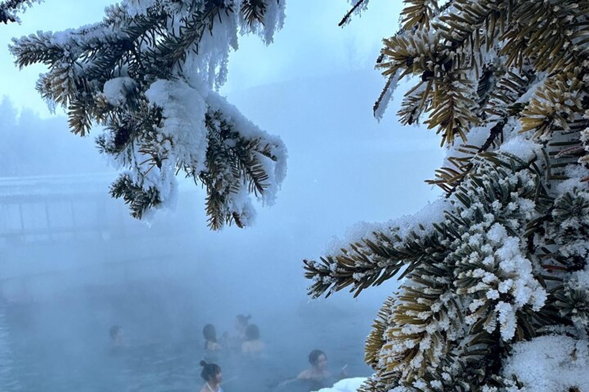 Fairbanks Chena Hot Springs Day Tour - Image 2