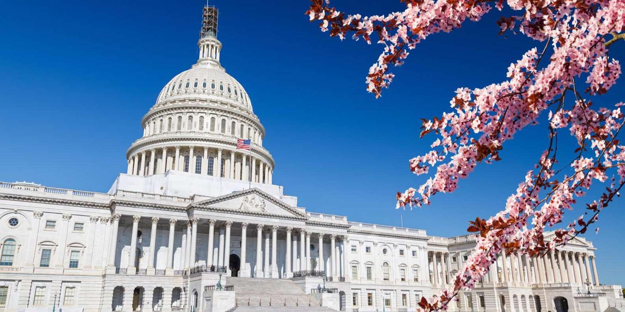 Washington DC Grand Tour