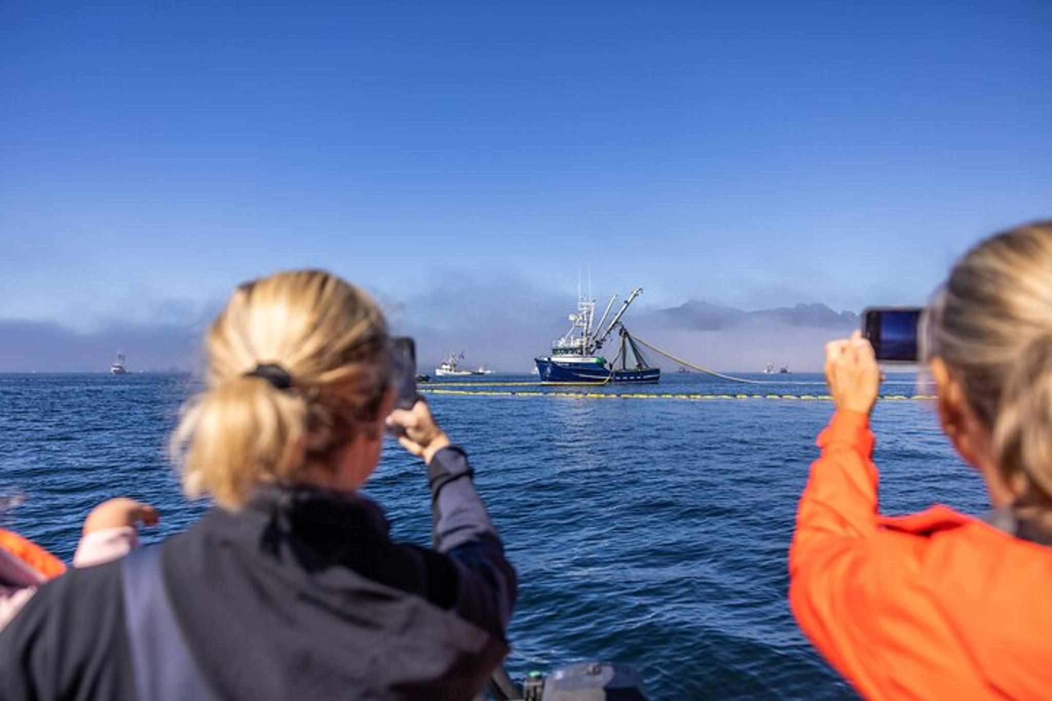 Sitka Marine Wildlife Tour 2 hr - Image 2