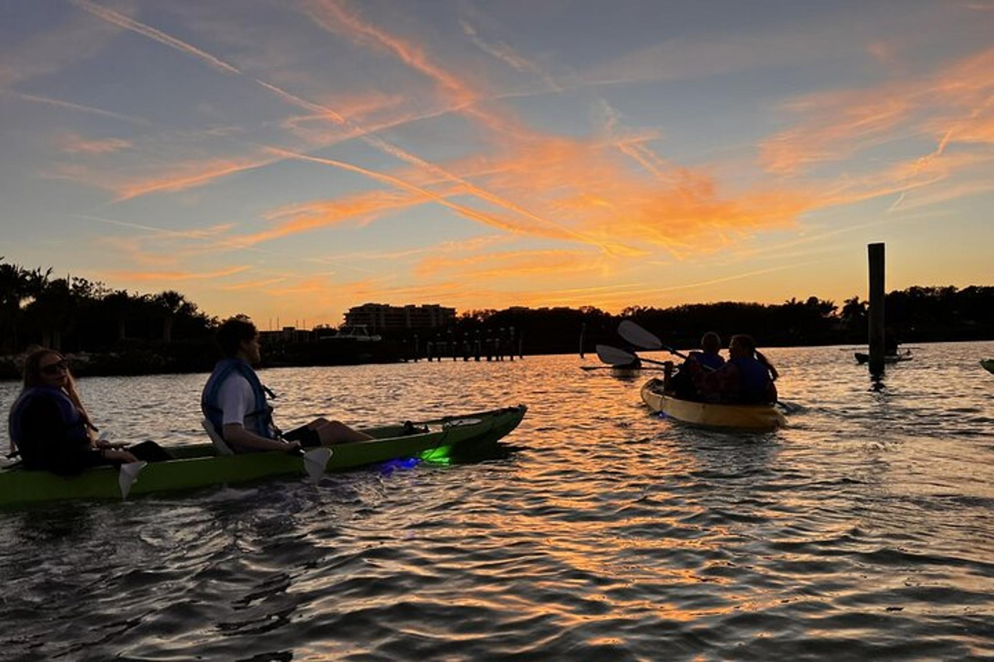Sarasota Glass Bottom Kayak LED Night Tour - Image 5