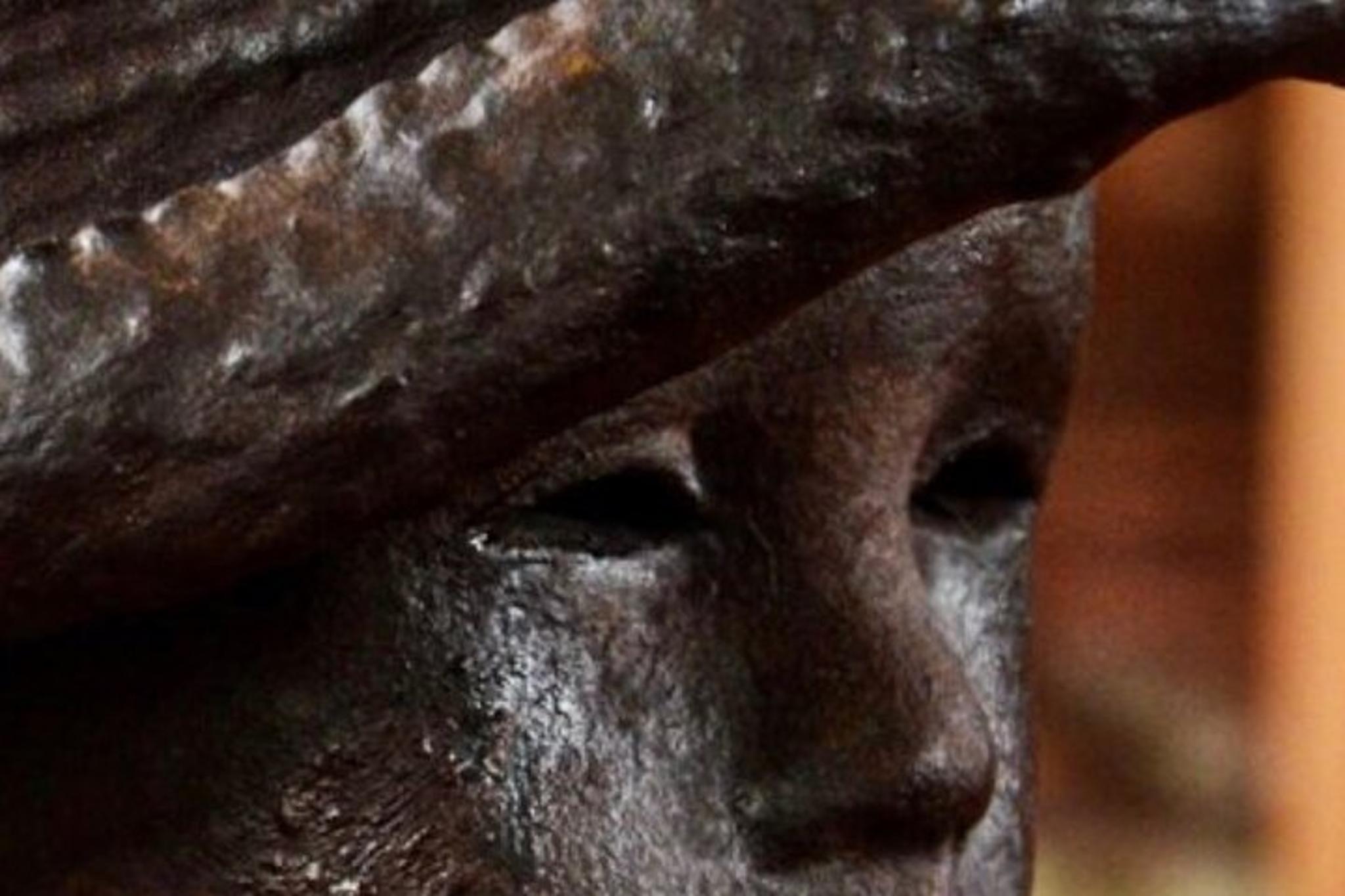 New Orleans Plantation and Airboat Swamp Tour - Image 2