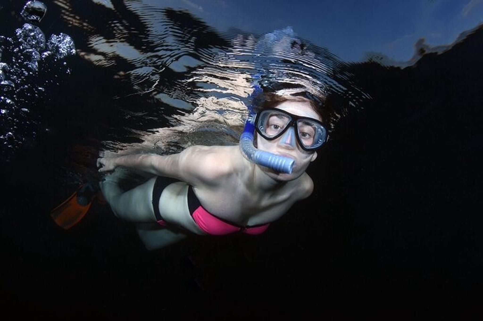 Phil Foster Park Night Snorkel Tour