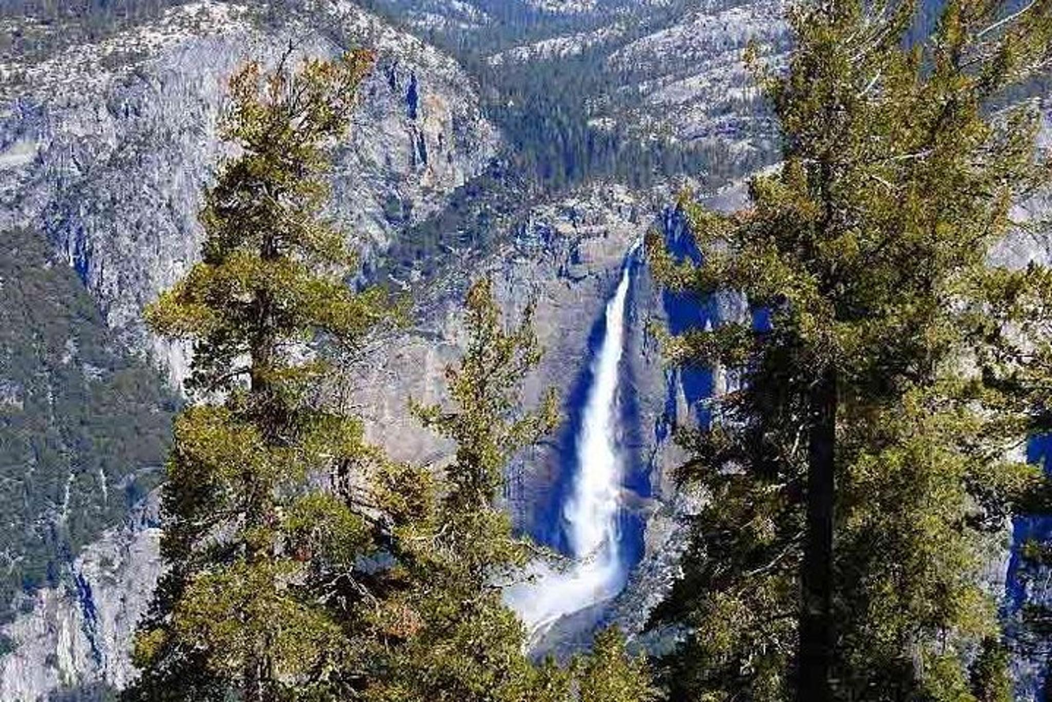 San Francisco Yosemite National Park Private Tour - Image 3