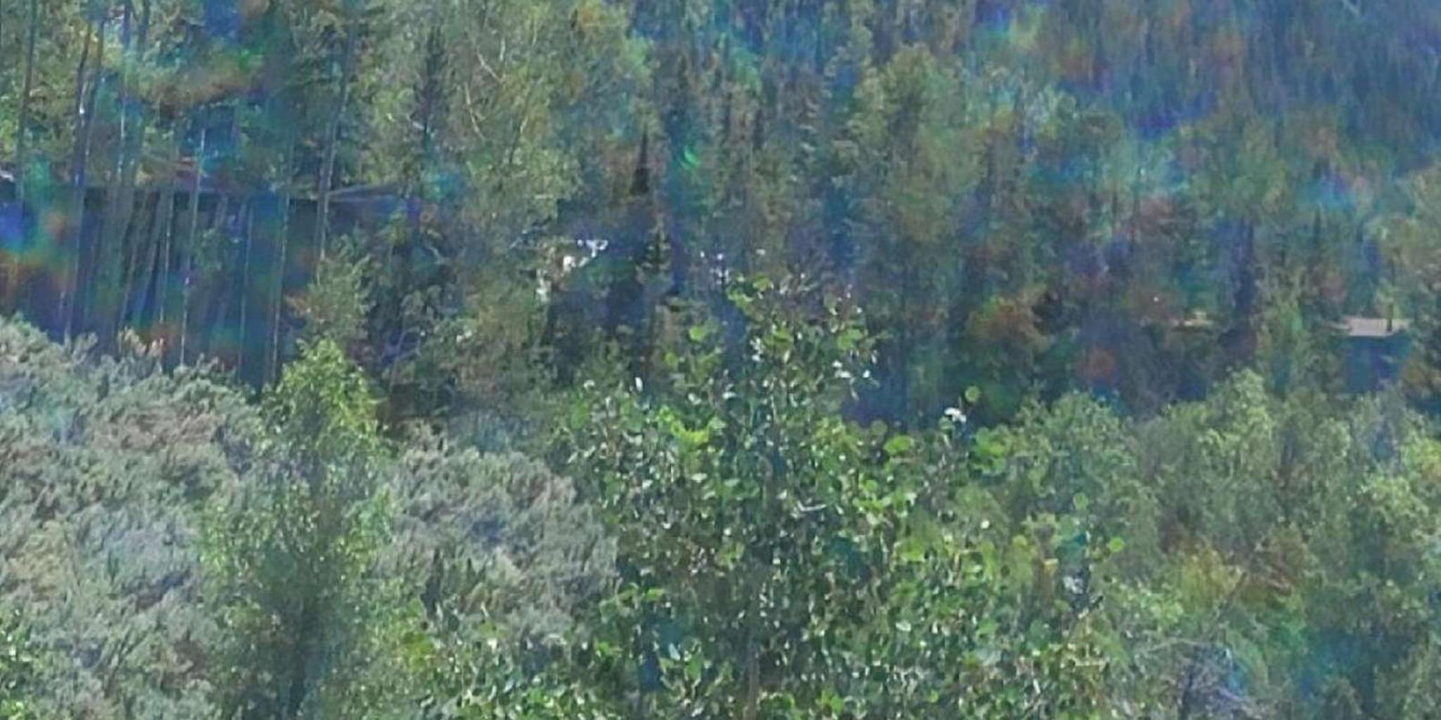 Denver Cannabis Mountain Tour - Image 3