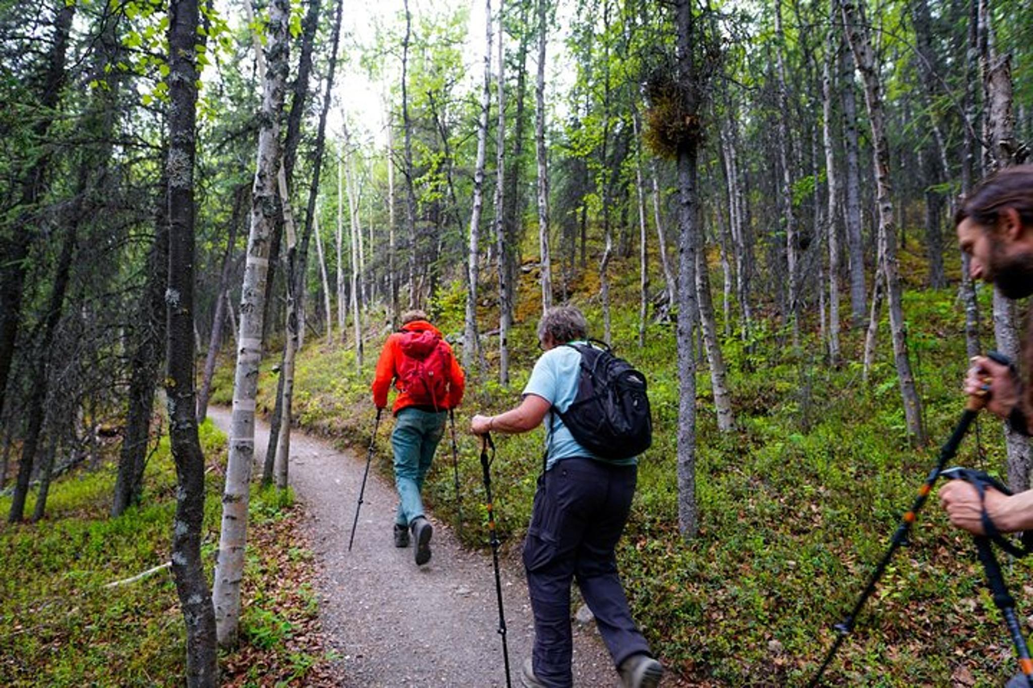 Denali Park Nature Walk with Expert Naturalist 3 hr - Image 2