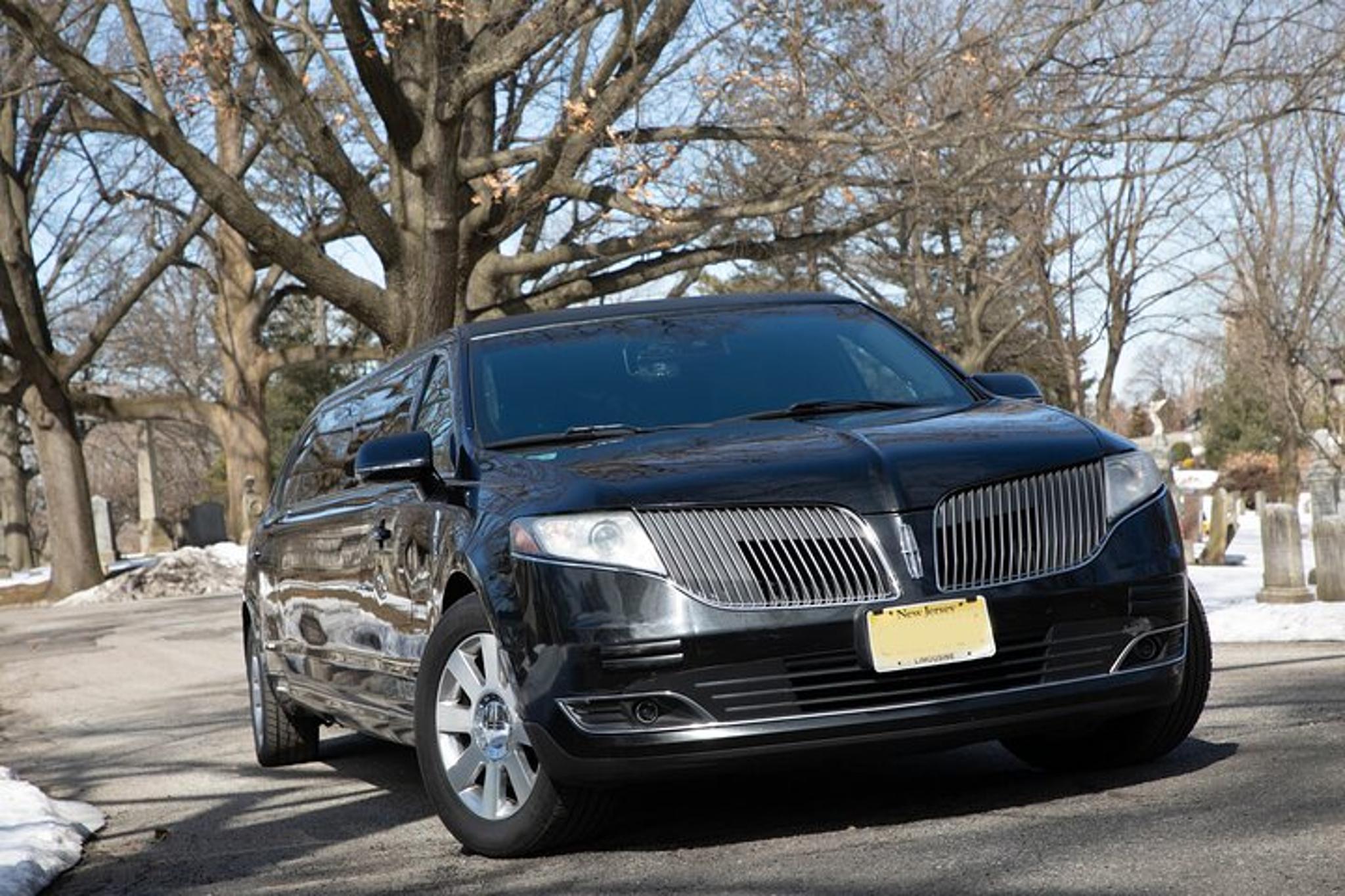 New York City Airport Arrival Transfer by Limo - Image 4