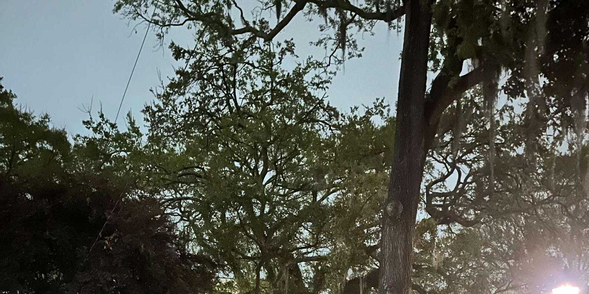 Woodstock Ghost Tour with Pub Crawl 2 hr - Image 6