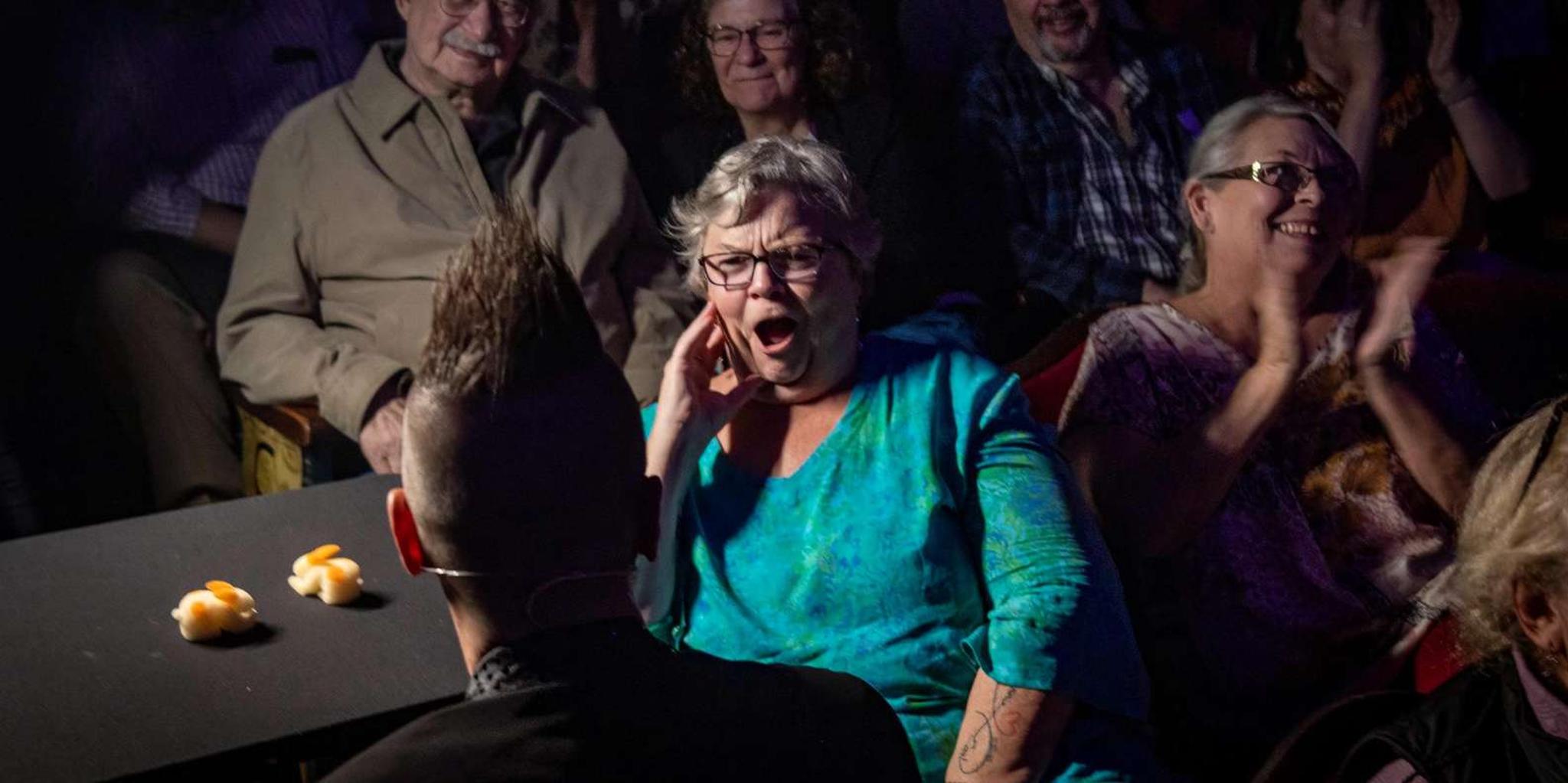 Niagara Falls Magic Theatre - Image 5