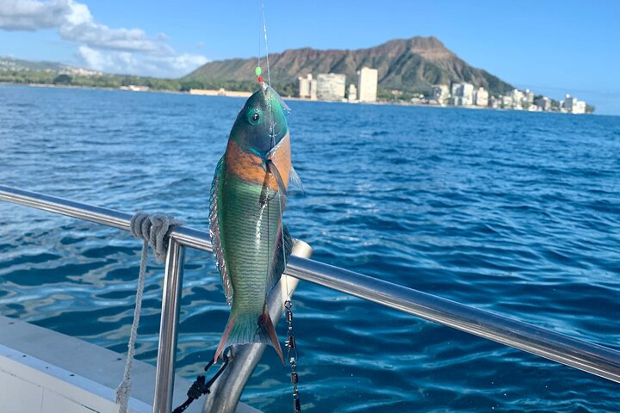Honolulu Fishing Charter for Family and Friends 2 hr - Image 4