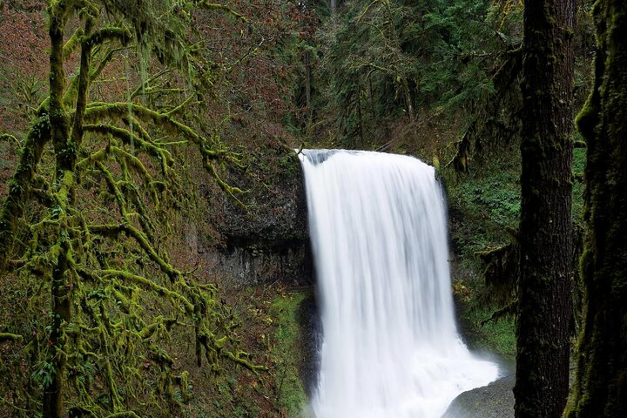 Silver Falls Private Hike Tour - Image 5