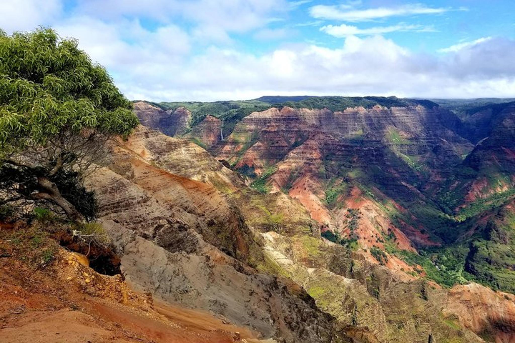 Waimea Canyon Private Tour - Image 5