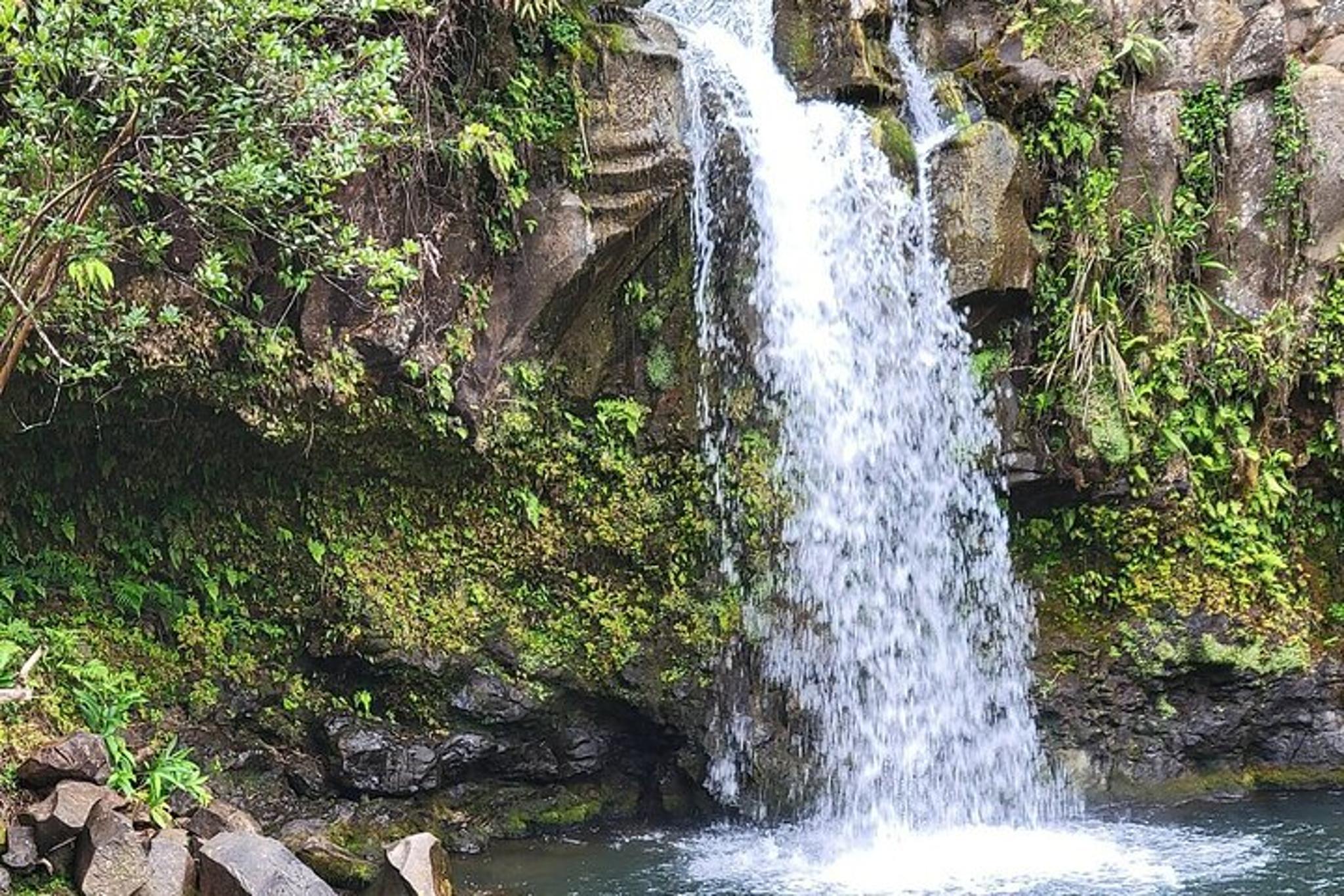 Maui Road to Hana Tour Half Day