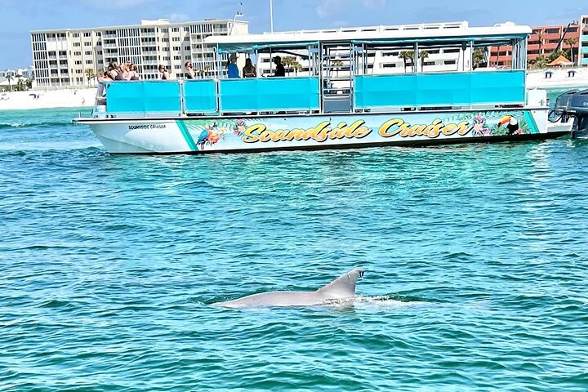 Fort Walton Beach Snorkel and Dolphin Adventure - Image 3