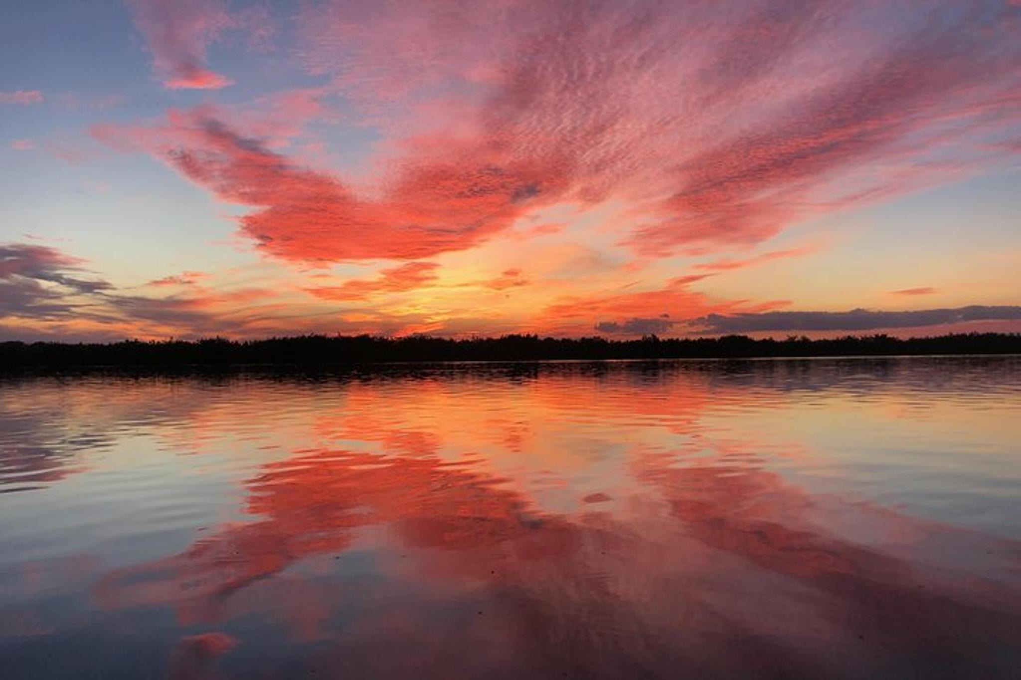 Indian River Lagoon Wildlife Tour - Image 4