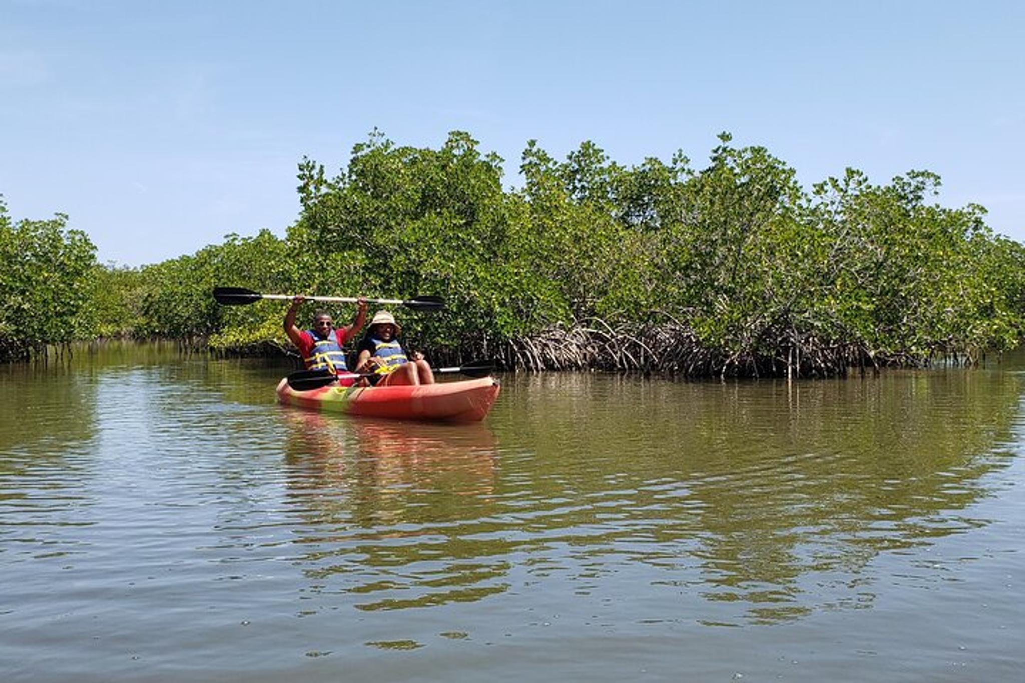 New Smyrna Beach Kayaking Ecotour
