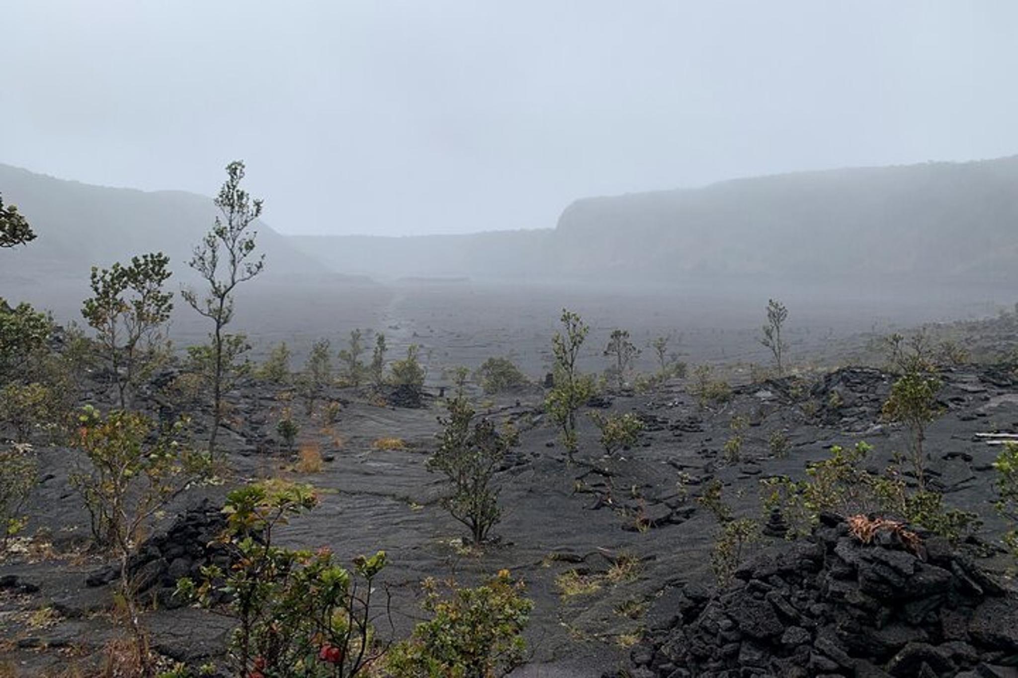 Hawaii Volcanoes National Park Private Tour - Image 6