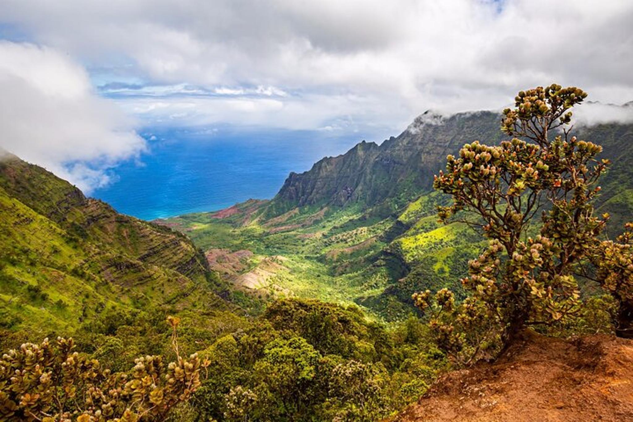Kauai Waimea Canyon Private Tour - Image 2