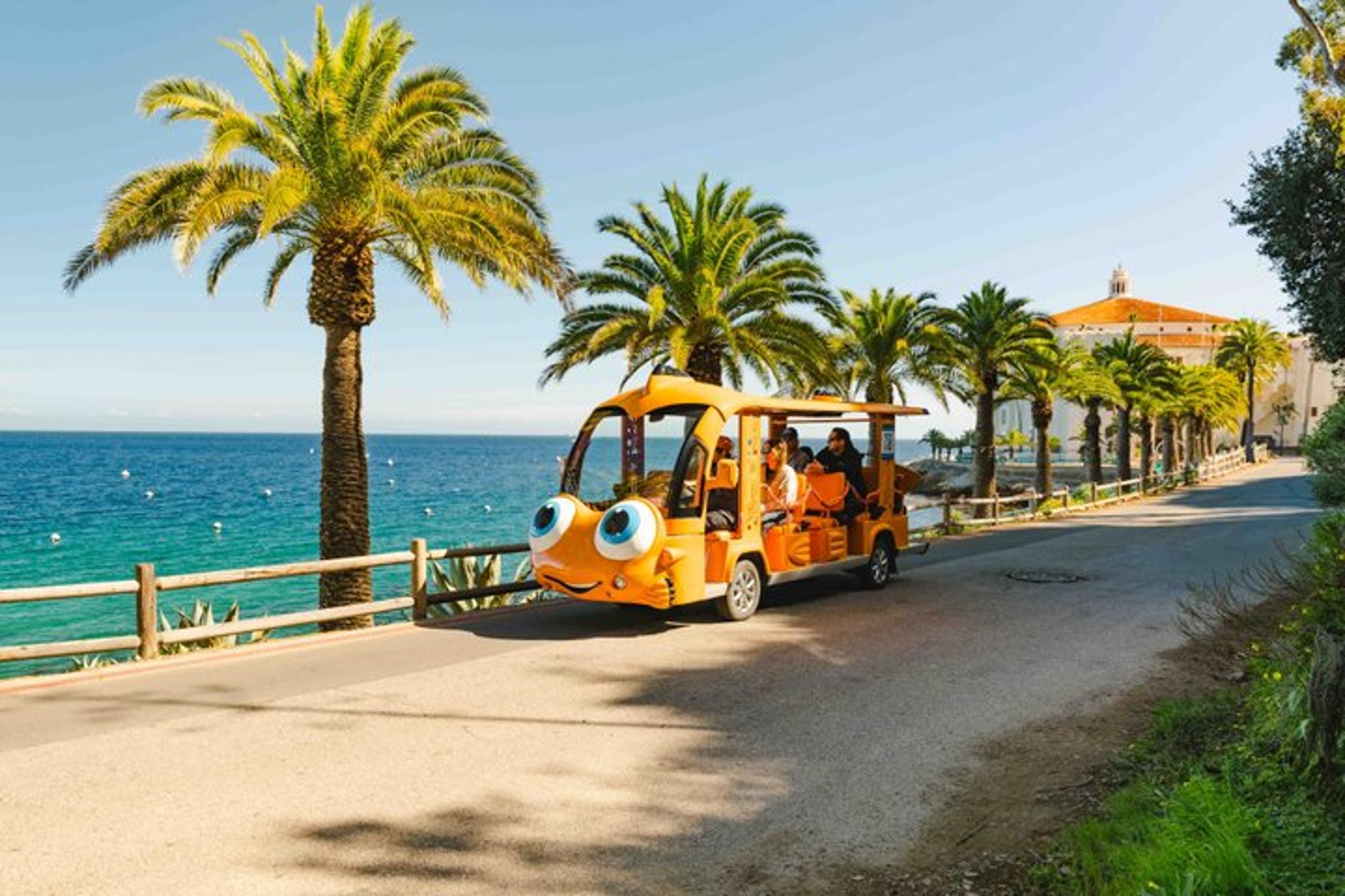 Avalon Guided City Tour in a Unique Golf Cart