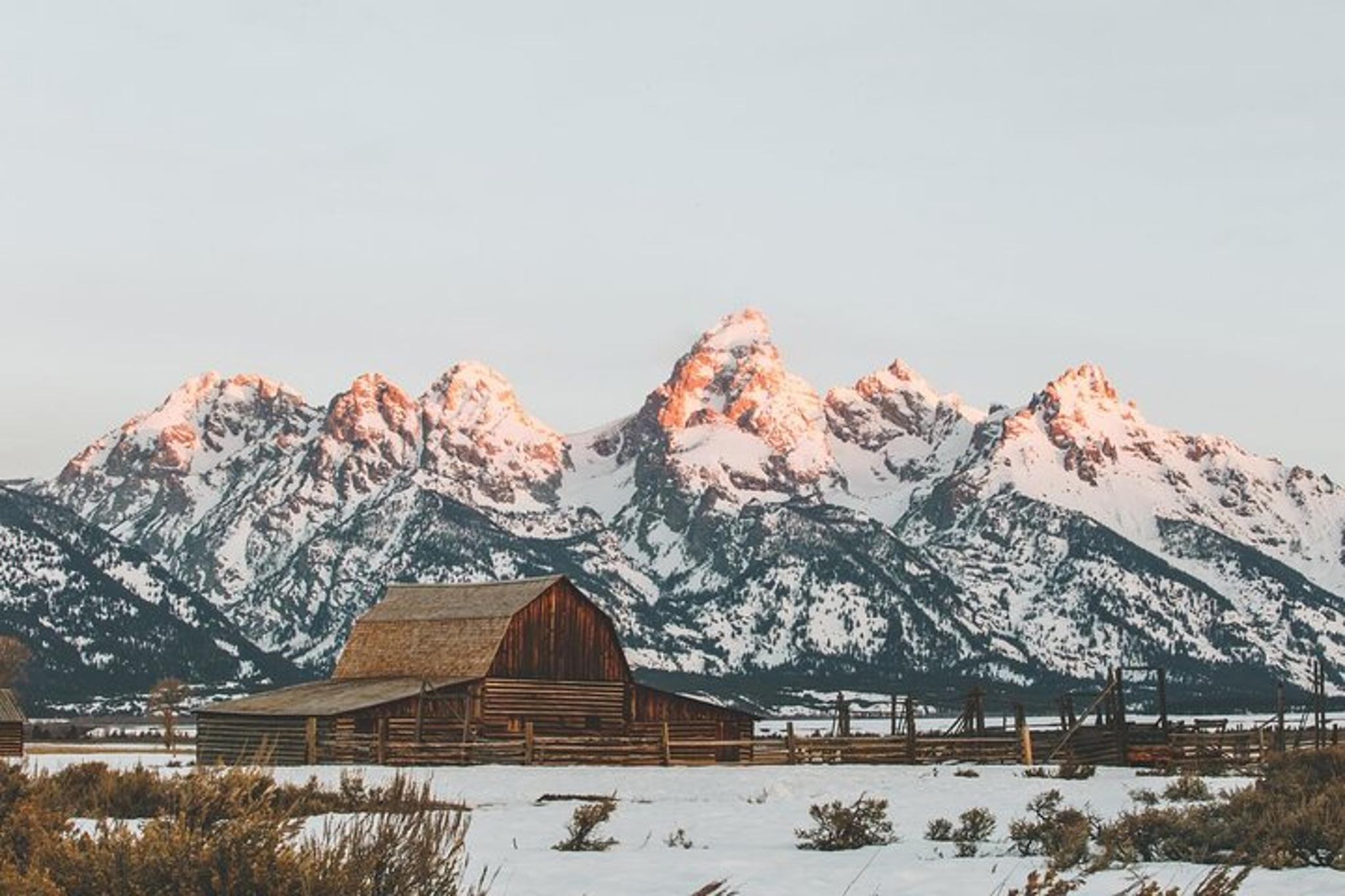 Grand Teton Winter Wildlife Tour - Image 6