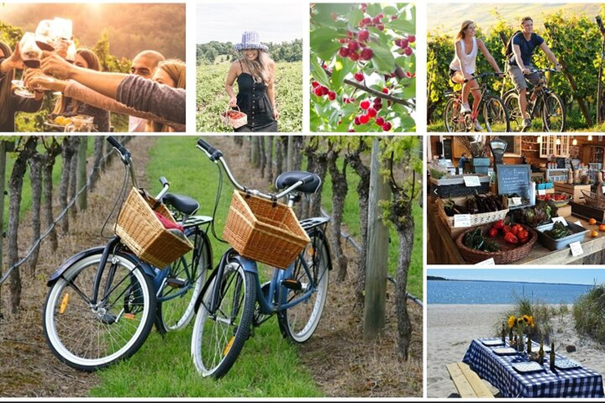 Mattituck Farm and Wine Country Bike Tour
