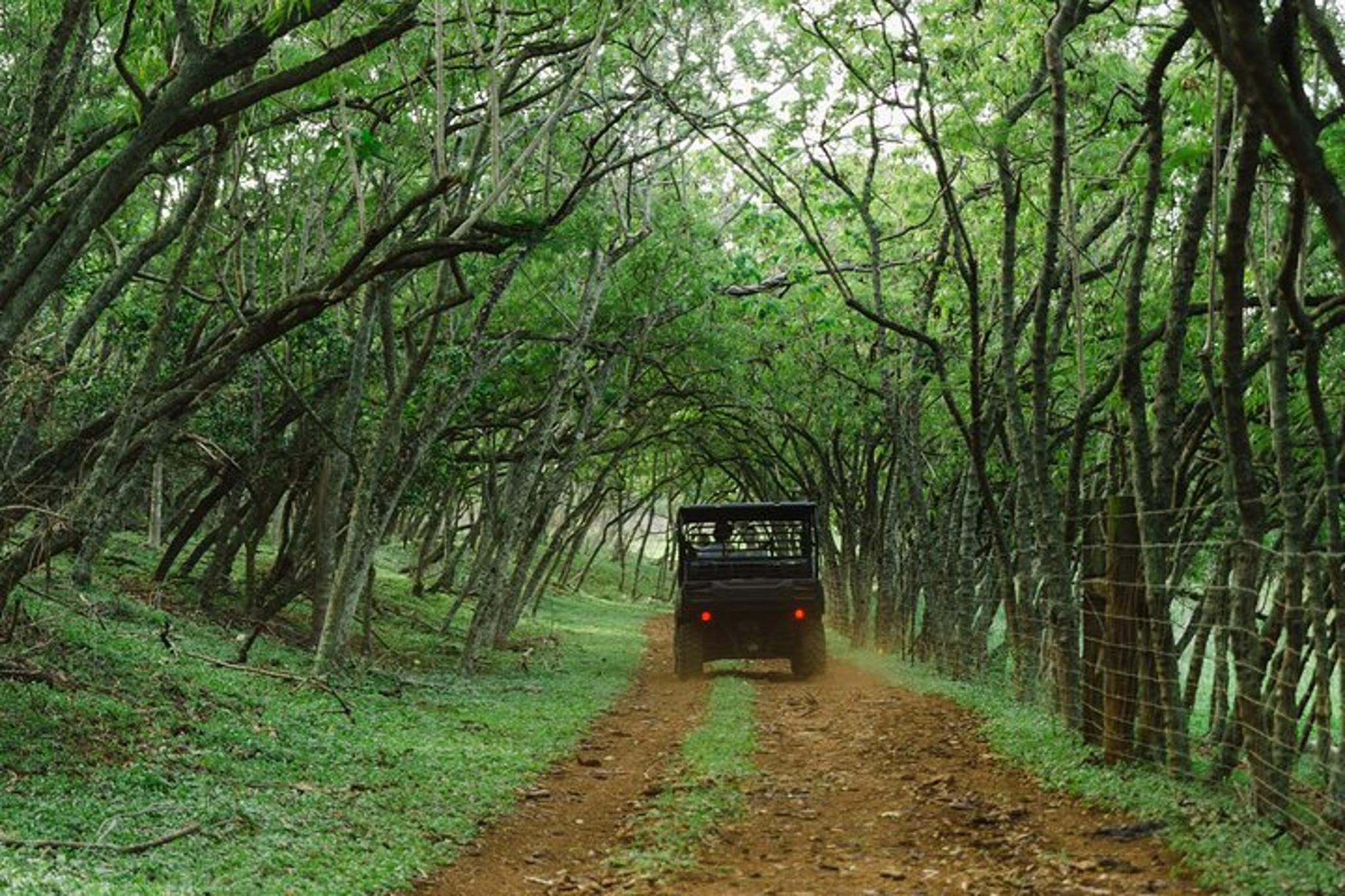 Oahu Off-Road Tour at Gunstock Ranch 1 hr - Image 4