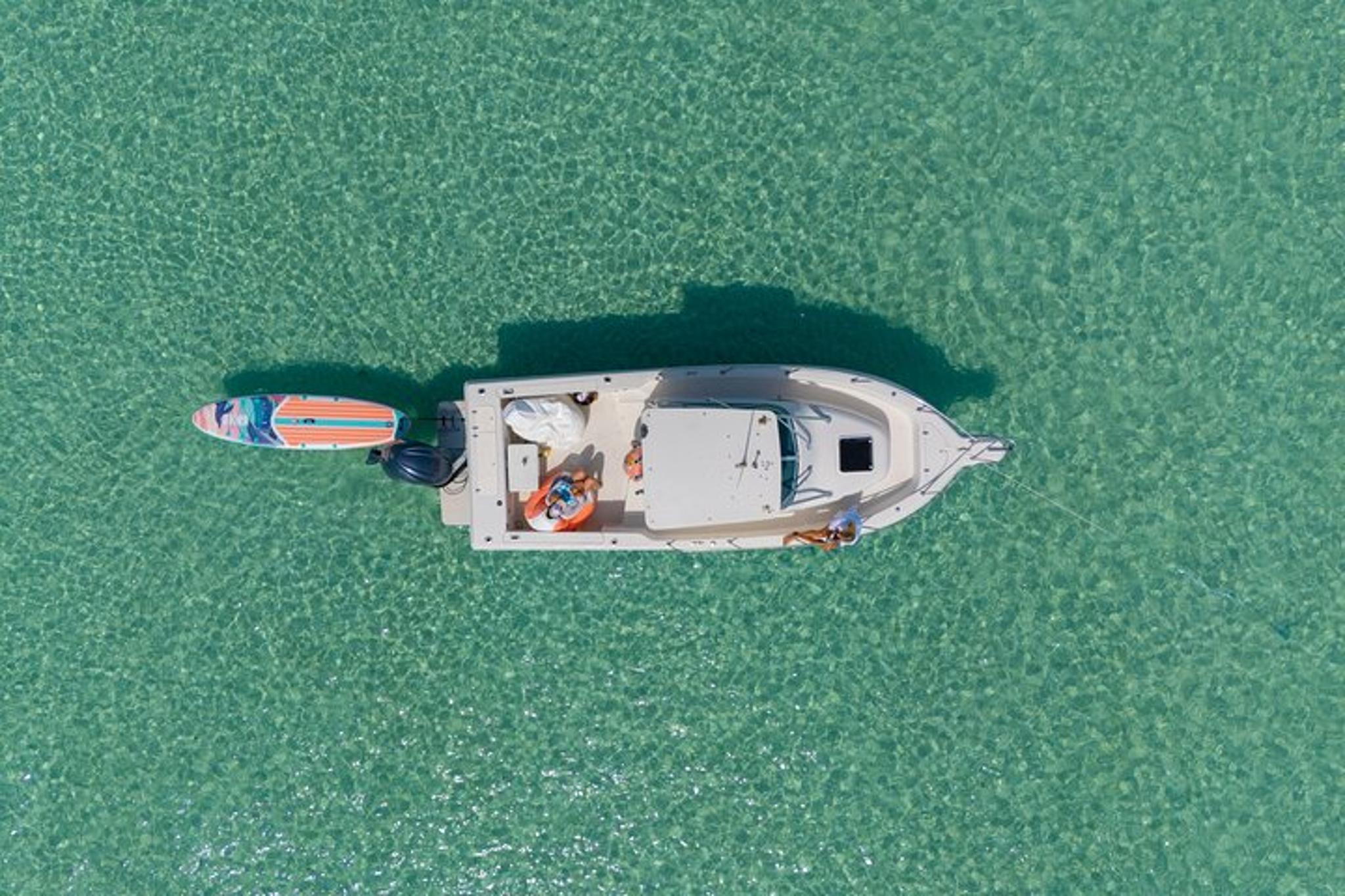 Destin Dolphin and Snorkeling Adventure - Image 2