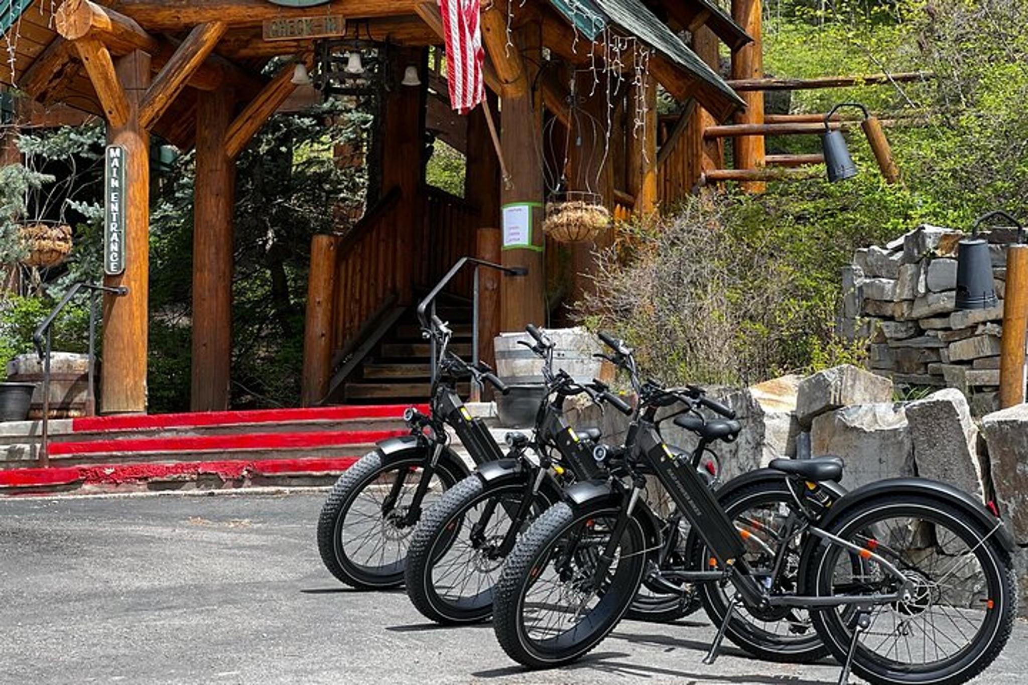 Whitefish E-Bike Rental in Flathead Valley - Image 5