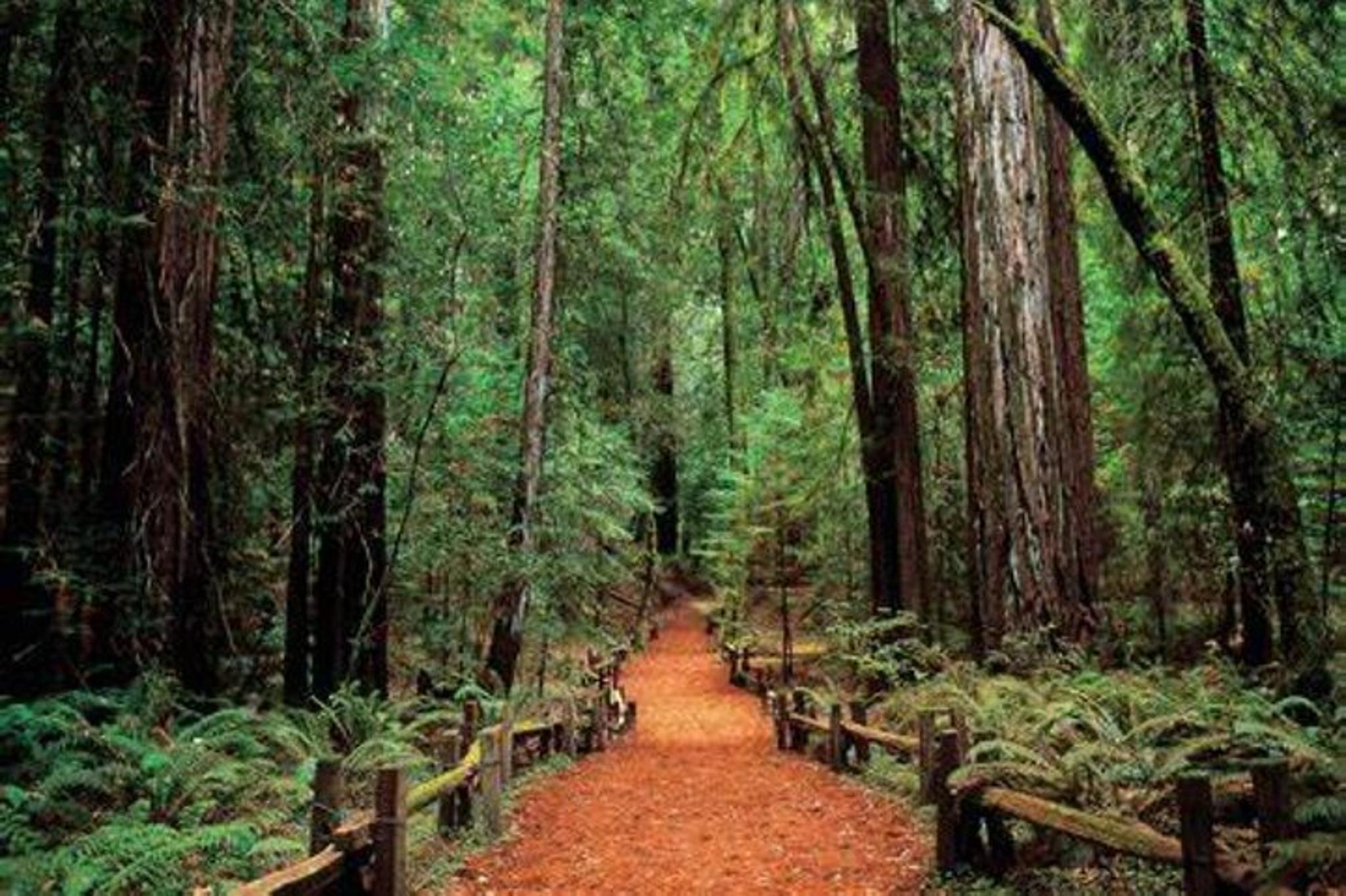 California Vineyards, Waves and Wine Tour - Image 6