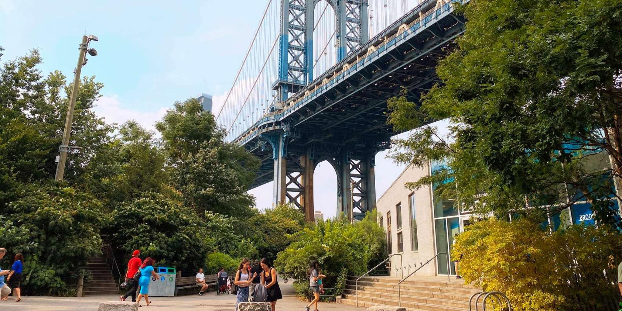 Brooklyn Historic Heights & DUMBO Tour 2 hr - Image 2