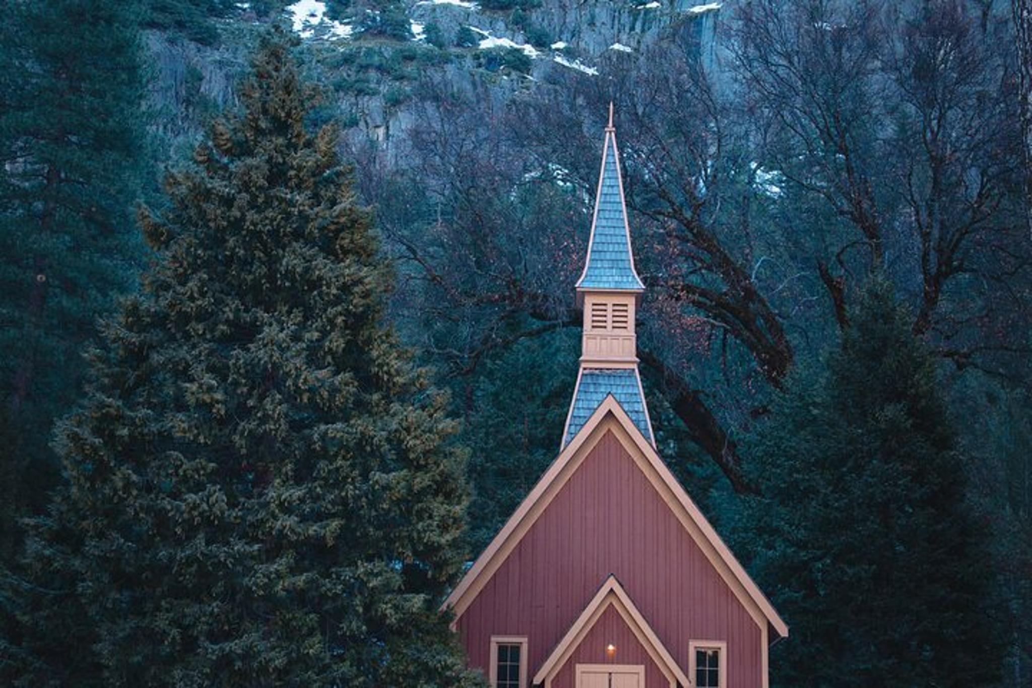 Yosemite Private Tour Two-Day Exploration - Image 6