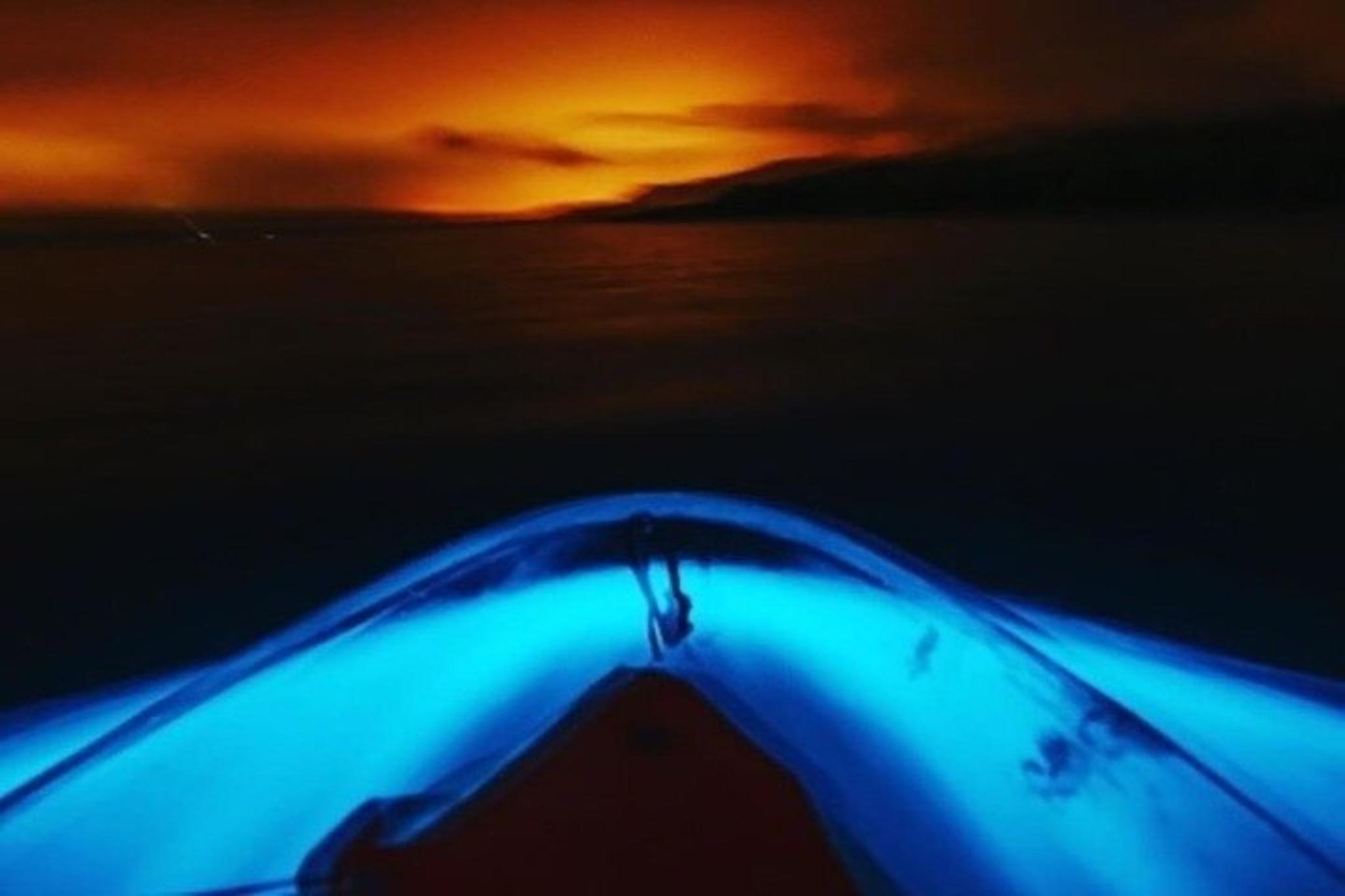 Cocoa Beach Clear Kayaking Bioluminescent Night Tour 90 min - Image 3