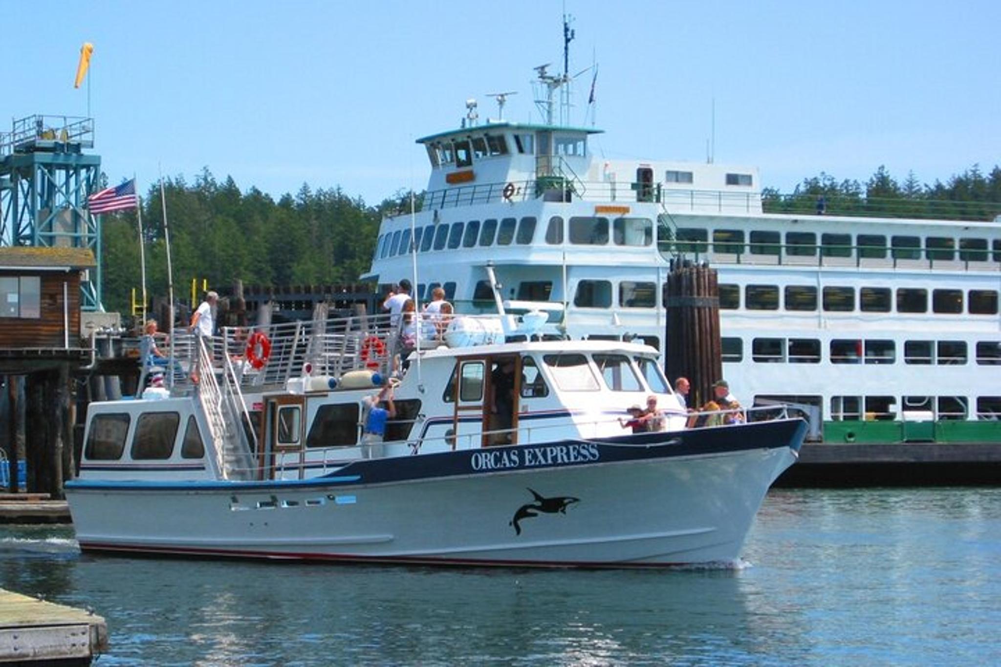 San Juan Islands Whale Watching Tour - Image 4