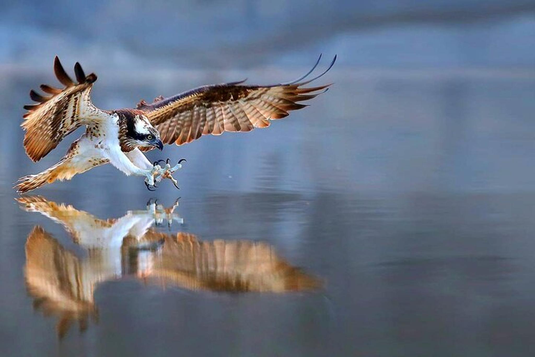 Bryce ATV Rental Adventure 4 hr - Image 2