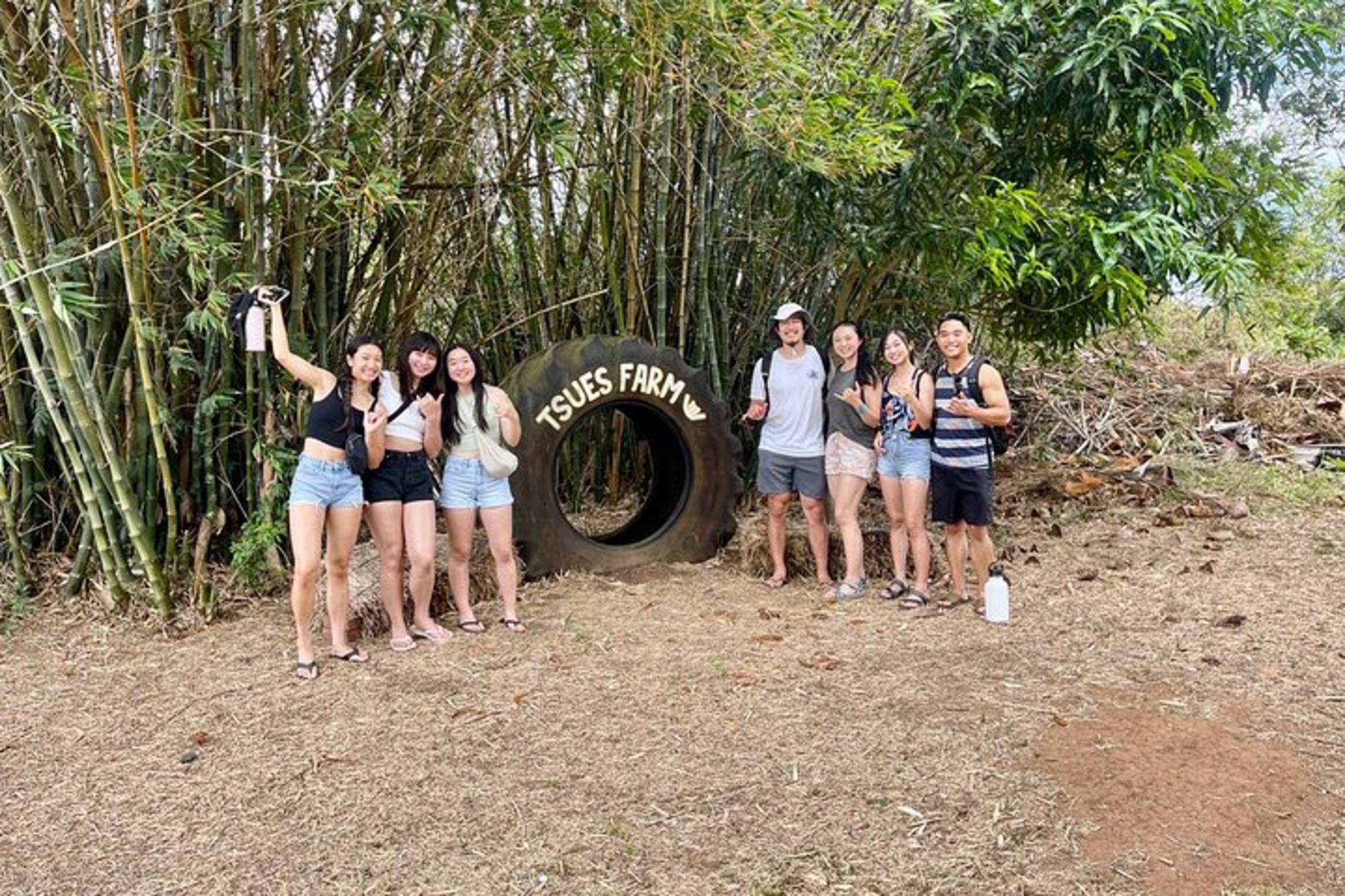 Oahu Shuttle to Dole Plantation and Haleiwa - Image 3