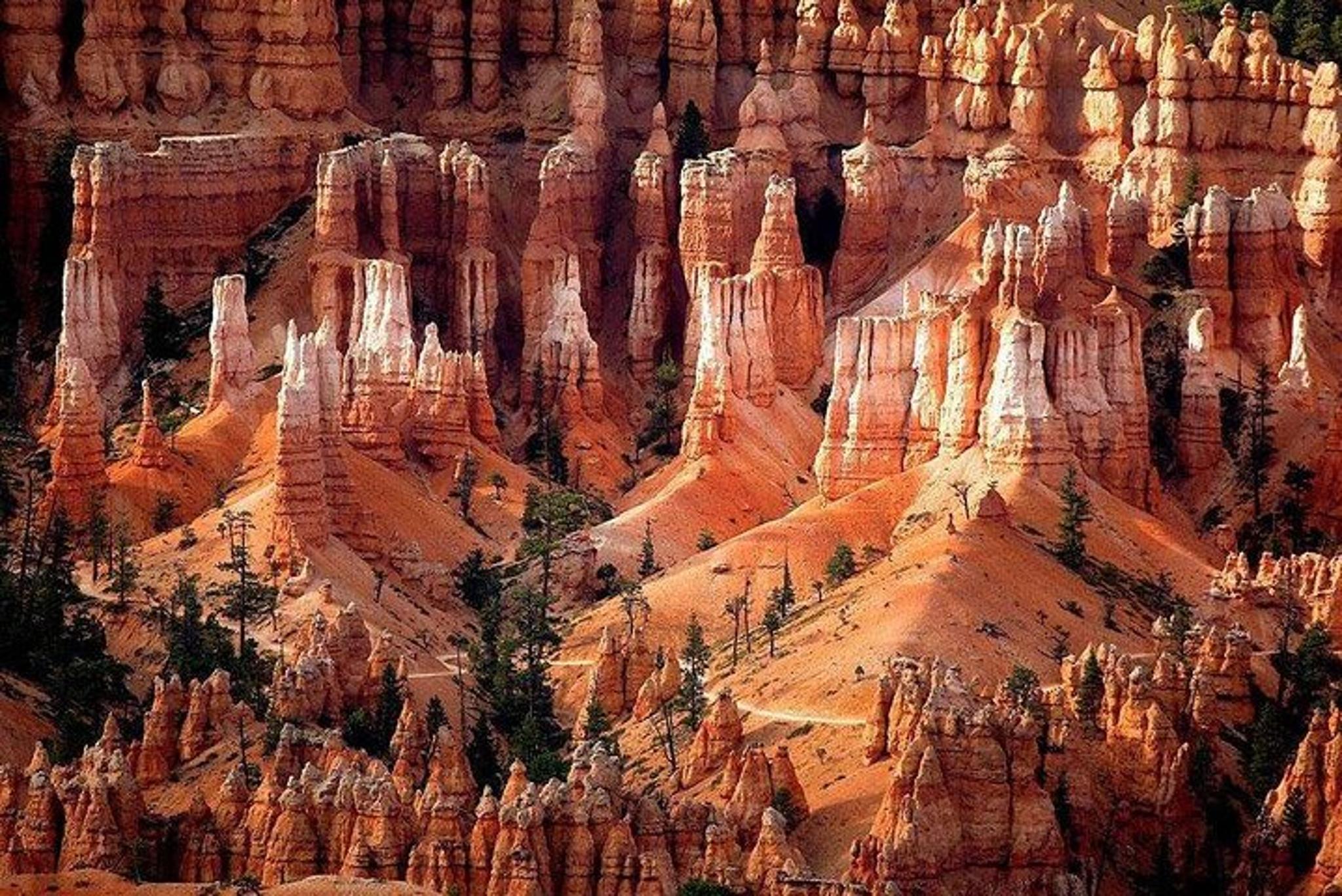 Zion & Bryce Canyon National Parks Bus Tour - Image 4