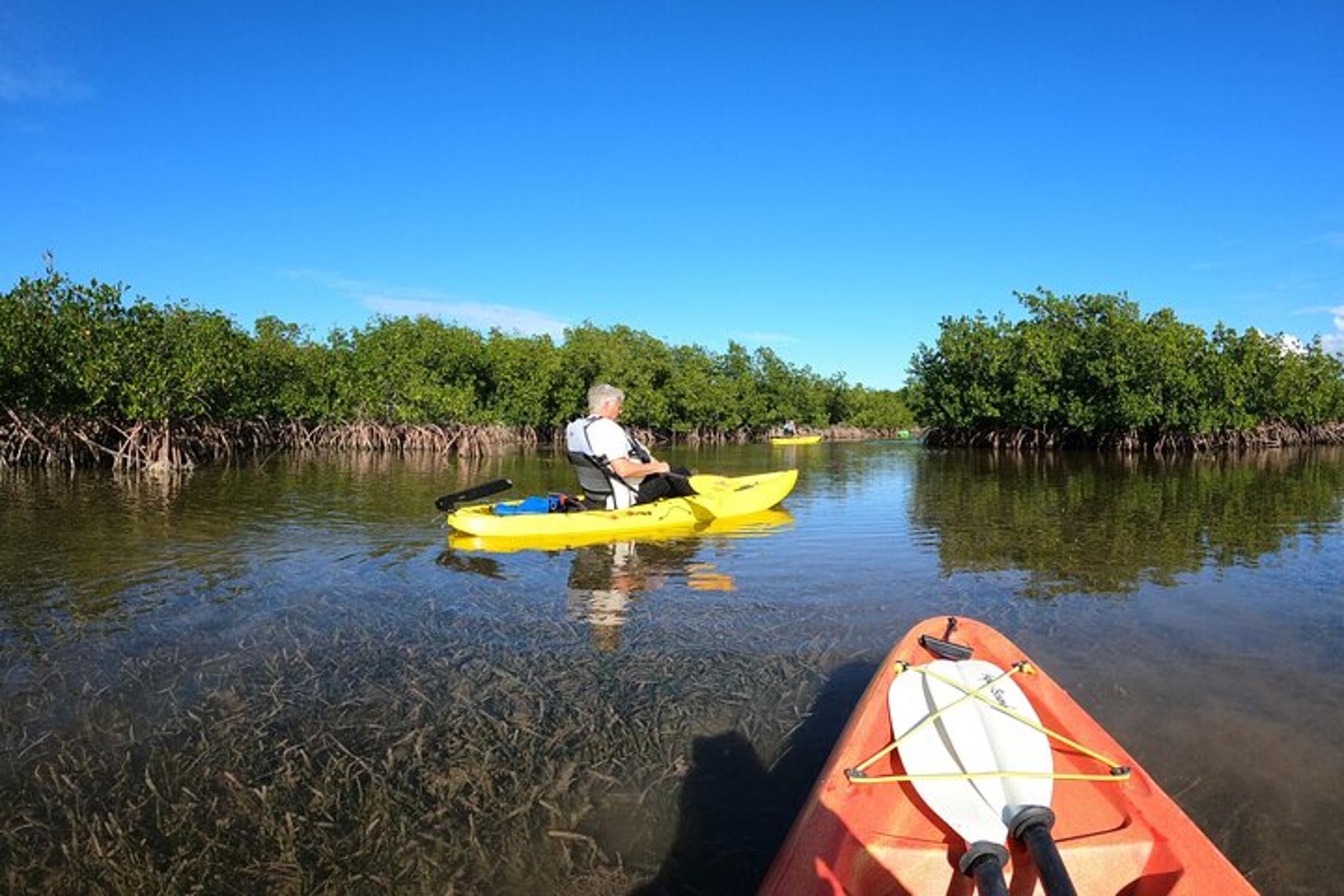 Key Largo Mangrove Tunnel Kayak Adventure - Image 5