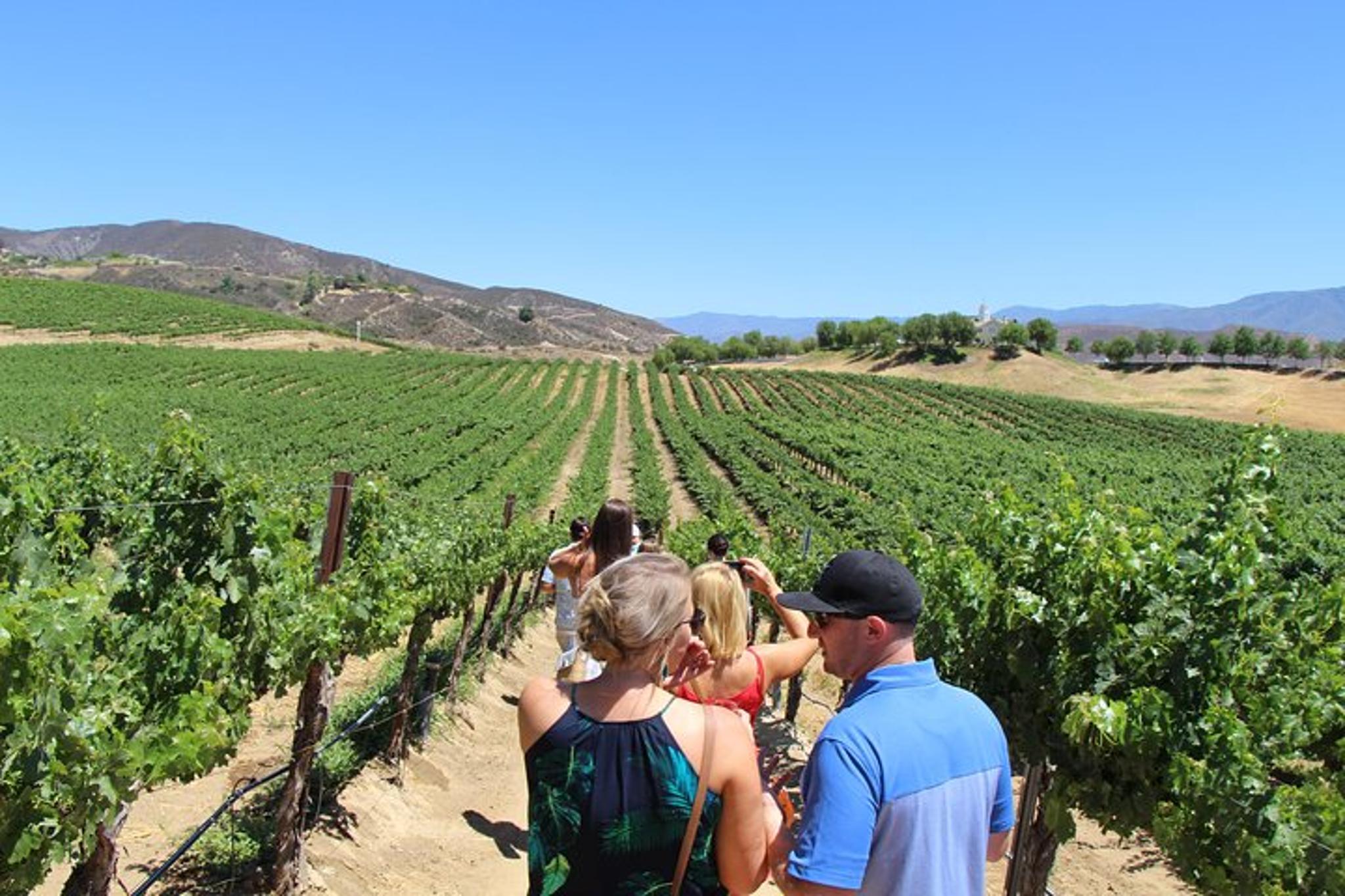 Anaheim Temecula Wine Tour - Image 3