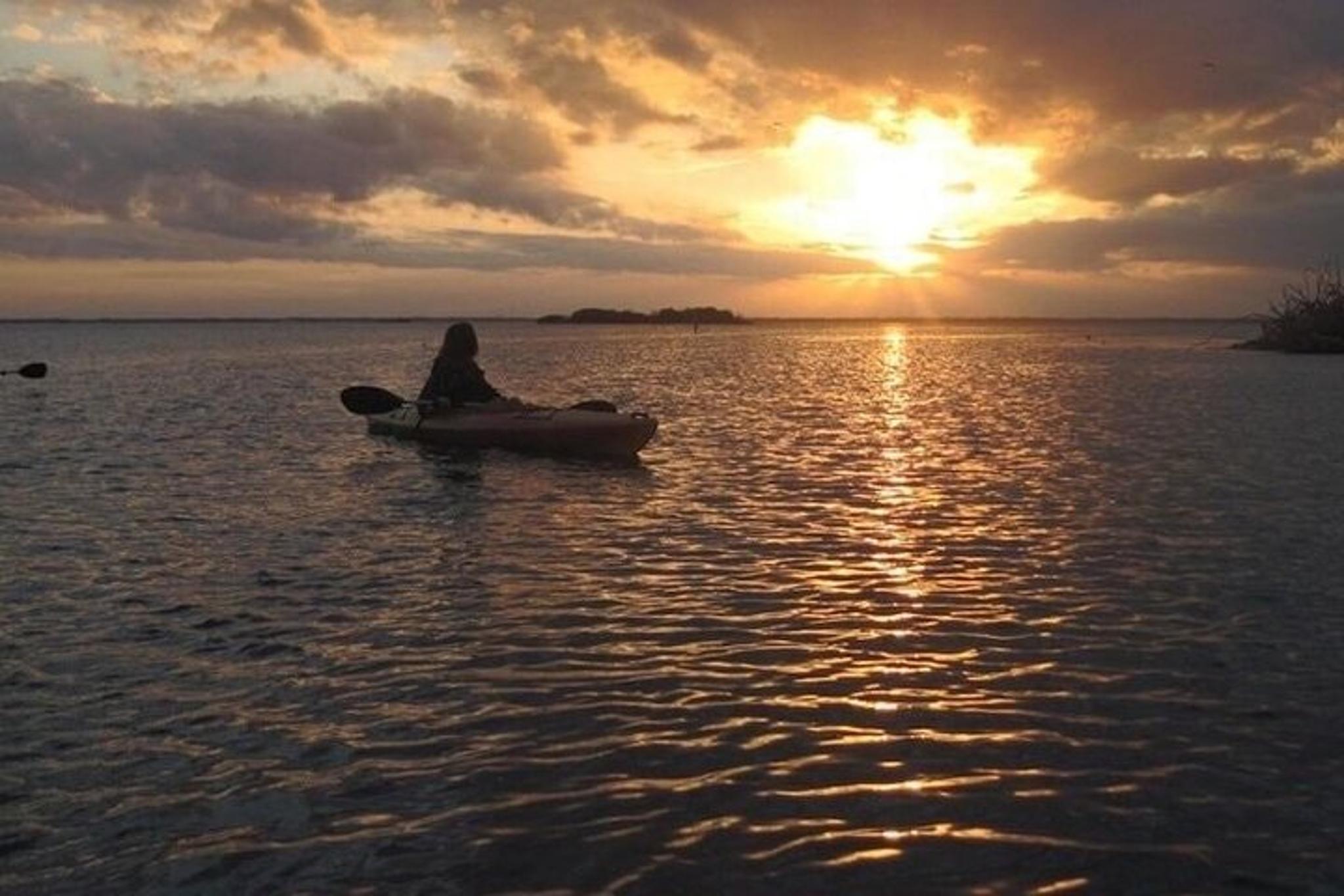 Merritt Island Bioluminescence Kayak Tour at Sunset - Image 4