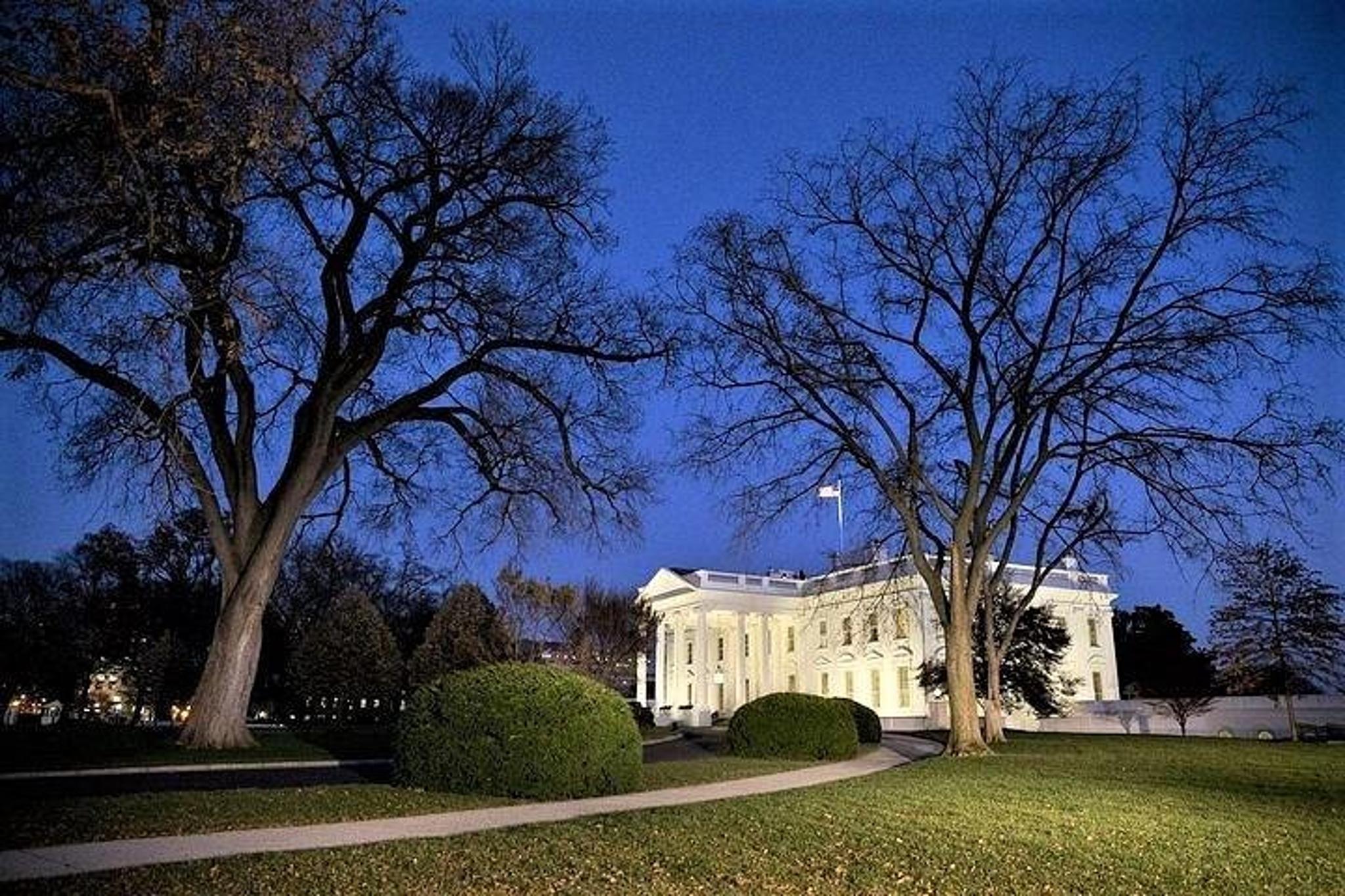 Washington DC Night-Time Tour - Image 4