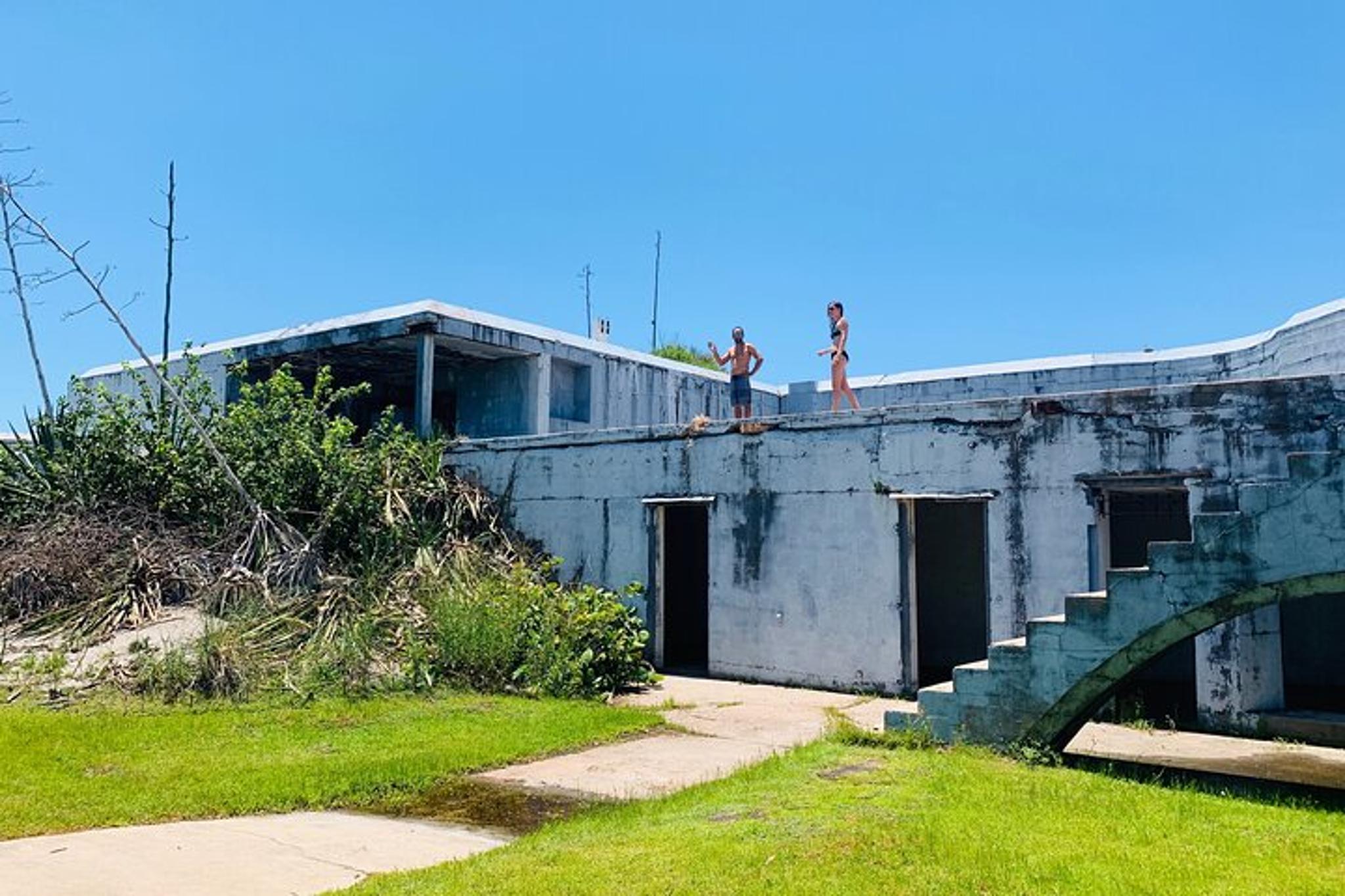 St. Petersburg Dolphin Watching and Island Excursion - Image 4