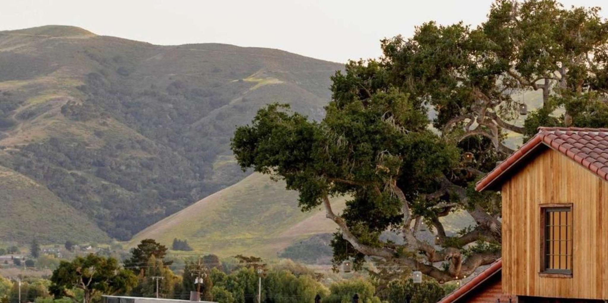 Santa Barbara Wine Country Tour - Image 2