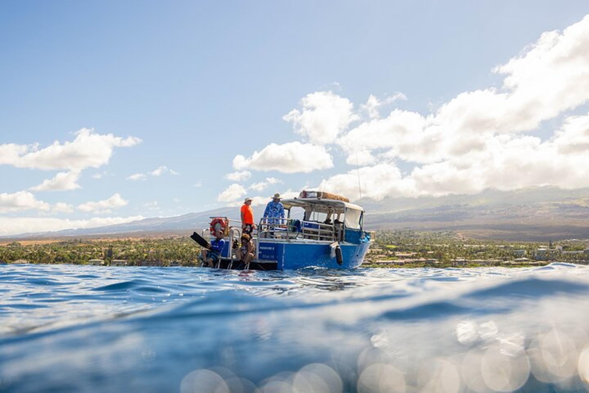 Maui Scuba Diving at Molokini Crater 3 hr - Image 4