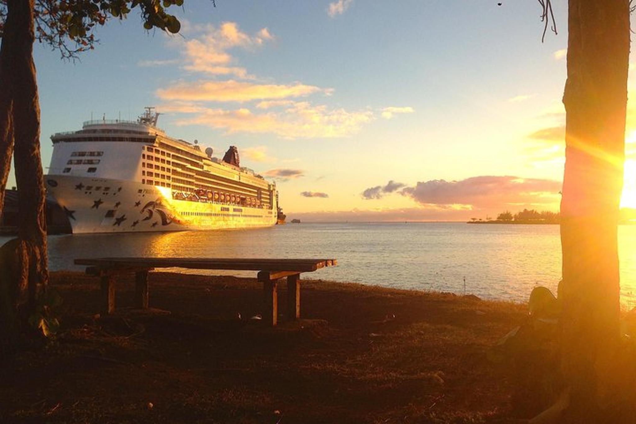 Oahu Private Day Tour with Luggage Transfer