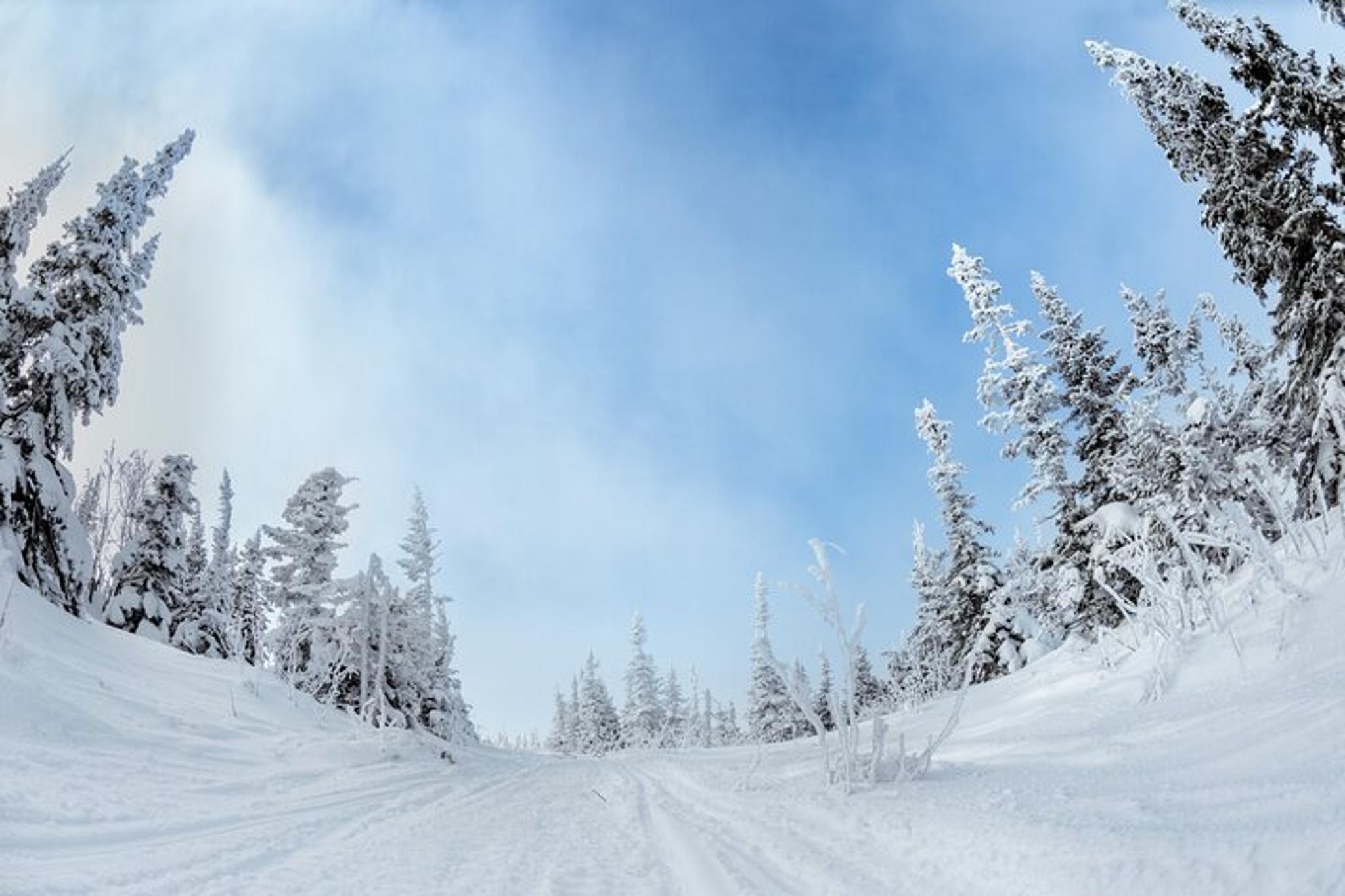 Yellowstone & Grand Teton Winter Tour 4-Day - Image 5