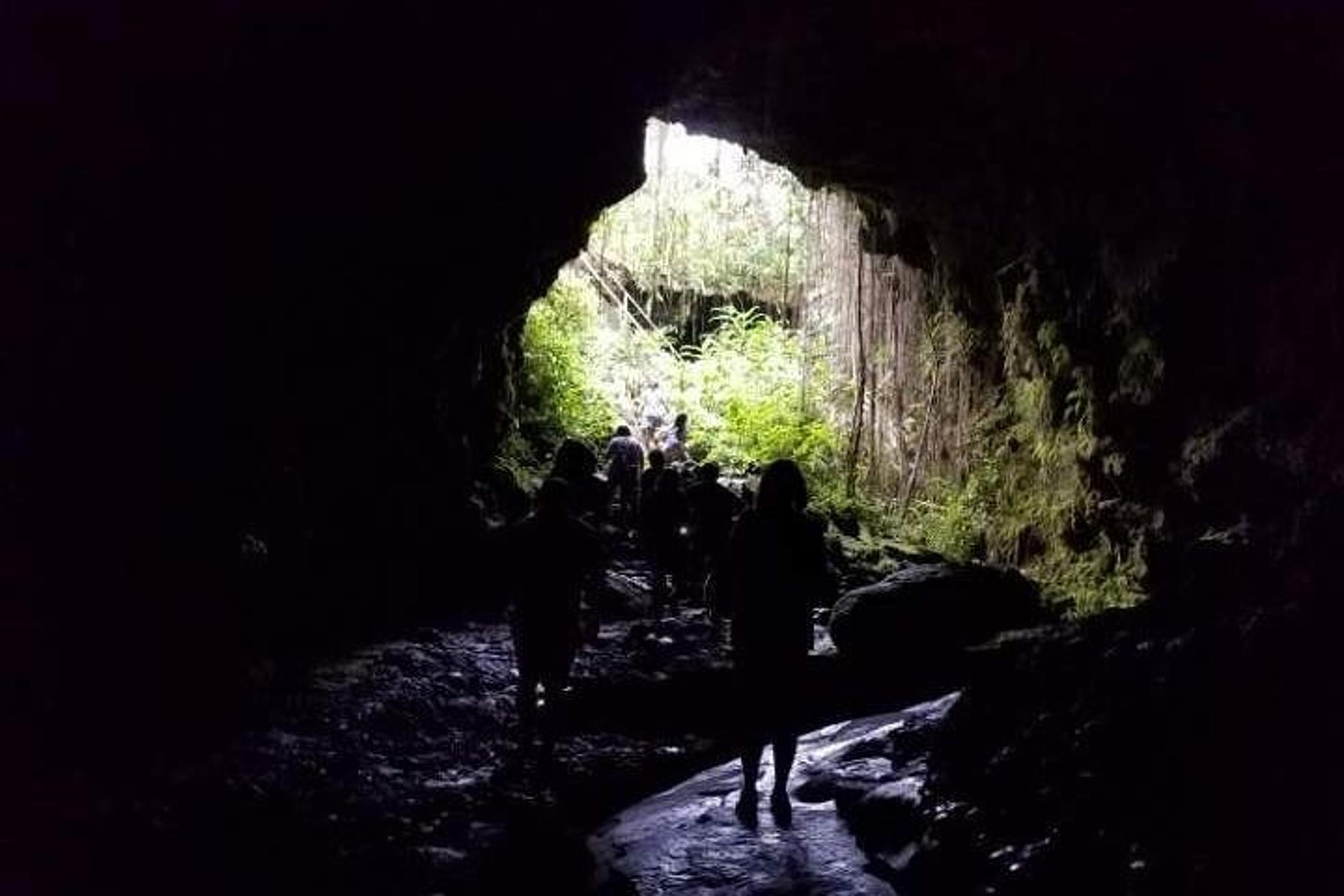 Hilo Volcanoes National Park Private Tour - Image 4